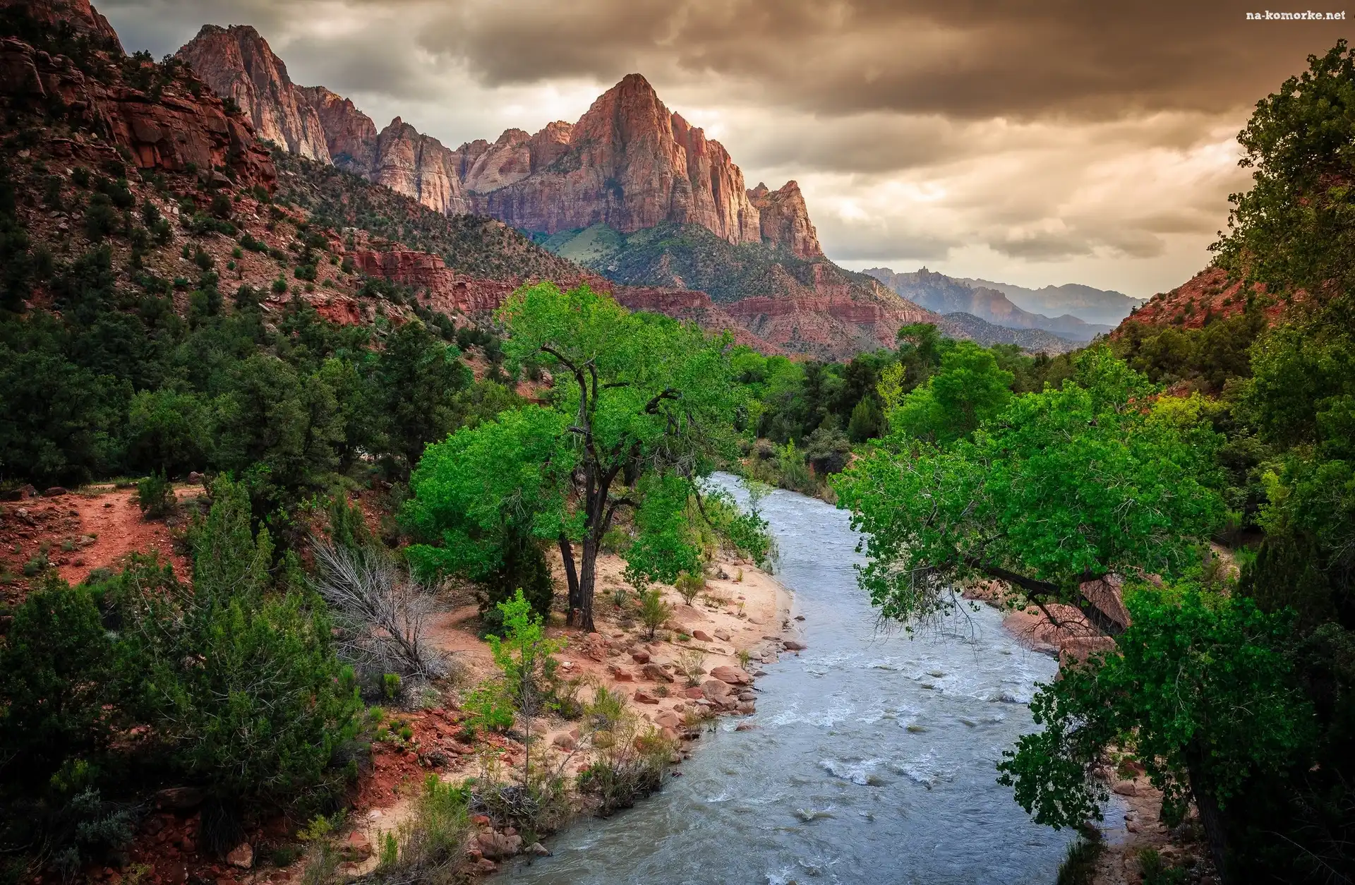 Stany Zjednoczone, Drzewa, Góry, Stan Utah, Park Narodowy Zion, Góra Watchman, Rzeka Virgin River
