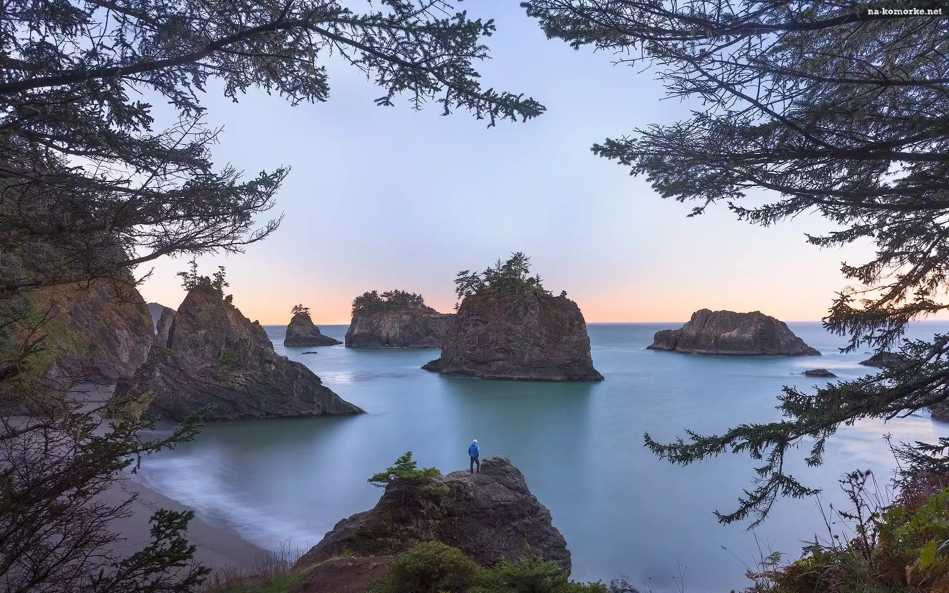Stany Zjednoczone, Secret Beach, Człowiek, Plaża, Wybrzeże, Gałęzie, Stan Oregon, Morze, Skały, Drzewa