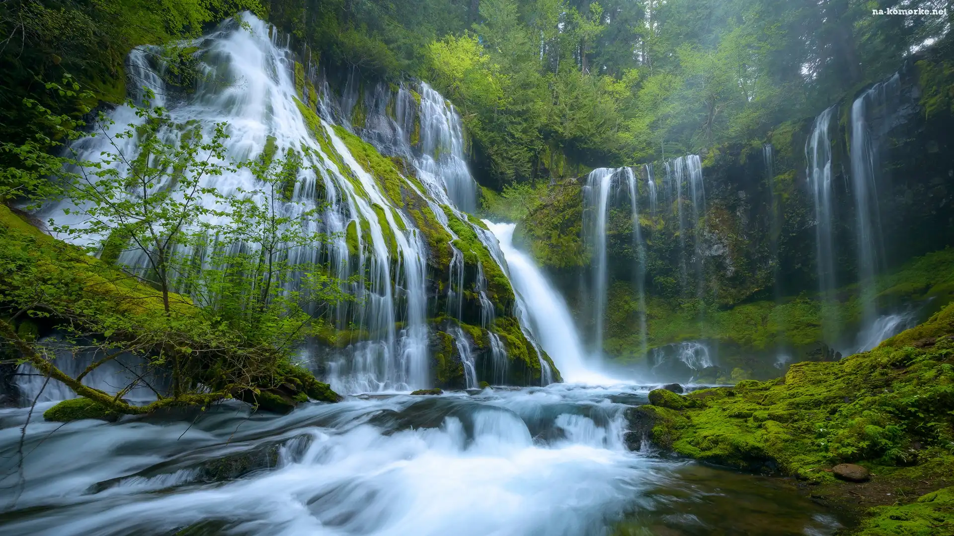 Stany Zjednoczone, Miejsce chronione, Gifford Pinchot National Forest, Stan Waszyngton, Drzewa, Wodospad, Panther Creek Falls