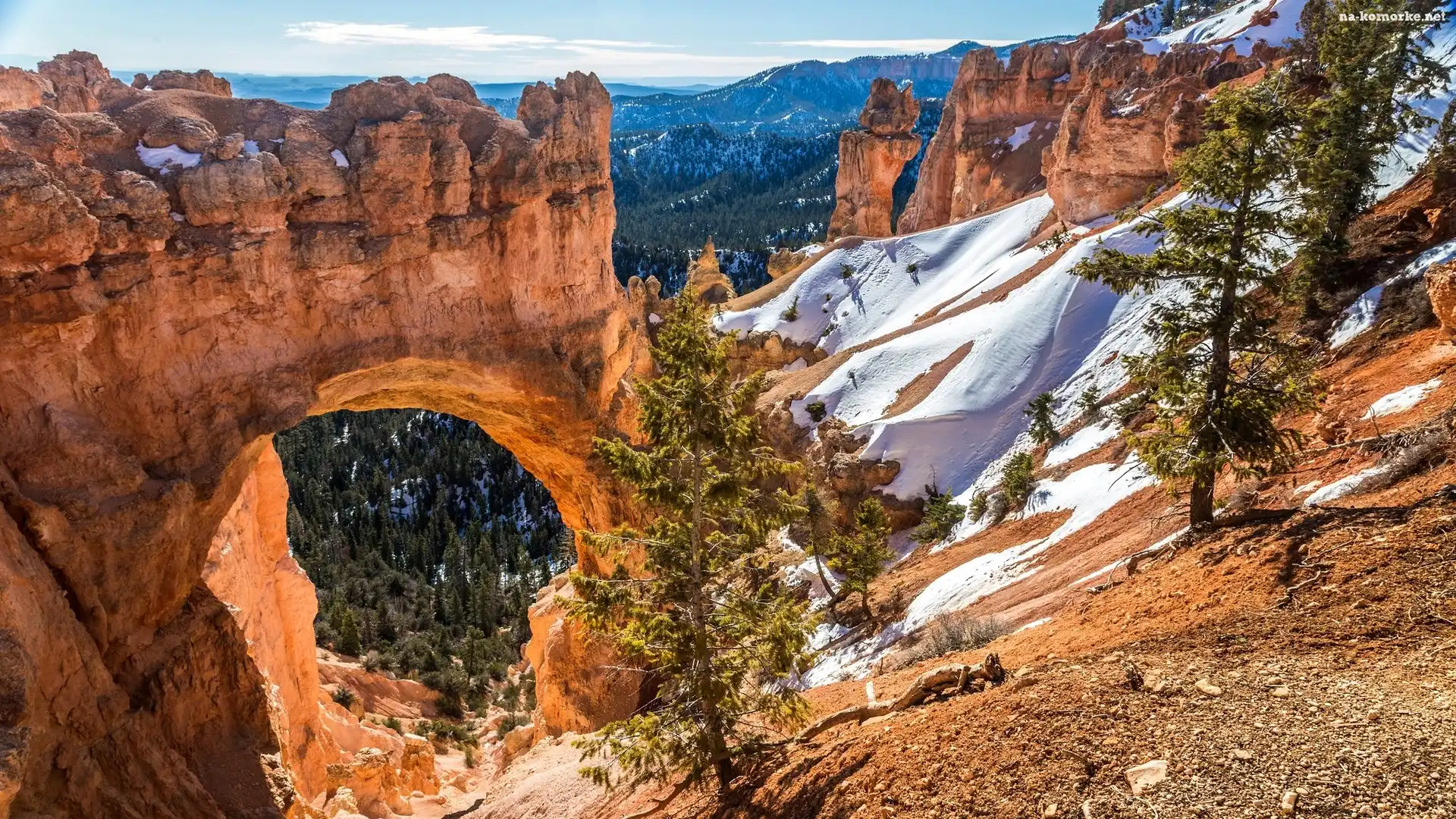 Stany Zjednoczone, Łuk Natural Bridge, Park Narodowy Bryce Canyon, Skały, Stan Utah, Kanion, Góry, Drzewa