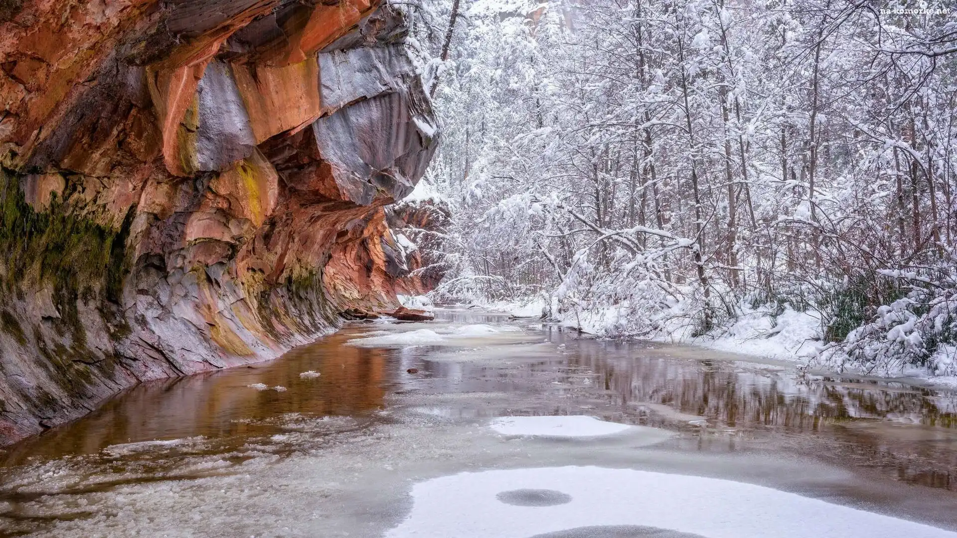 Stany Zjednoczone, Ośnieżone, Park Narodowy Zion, Drzewa, Stan Utah, Rzeka Virgin, Zima, Skały