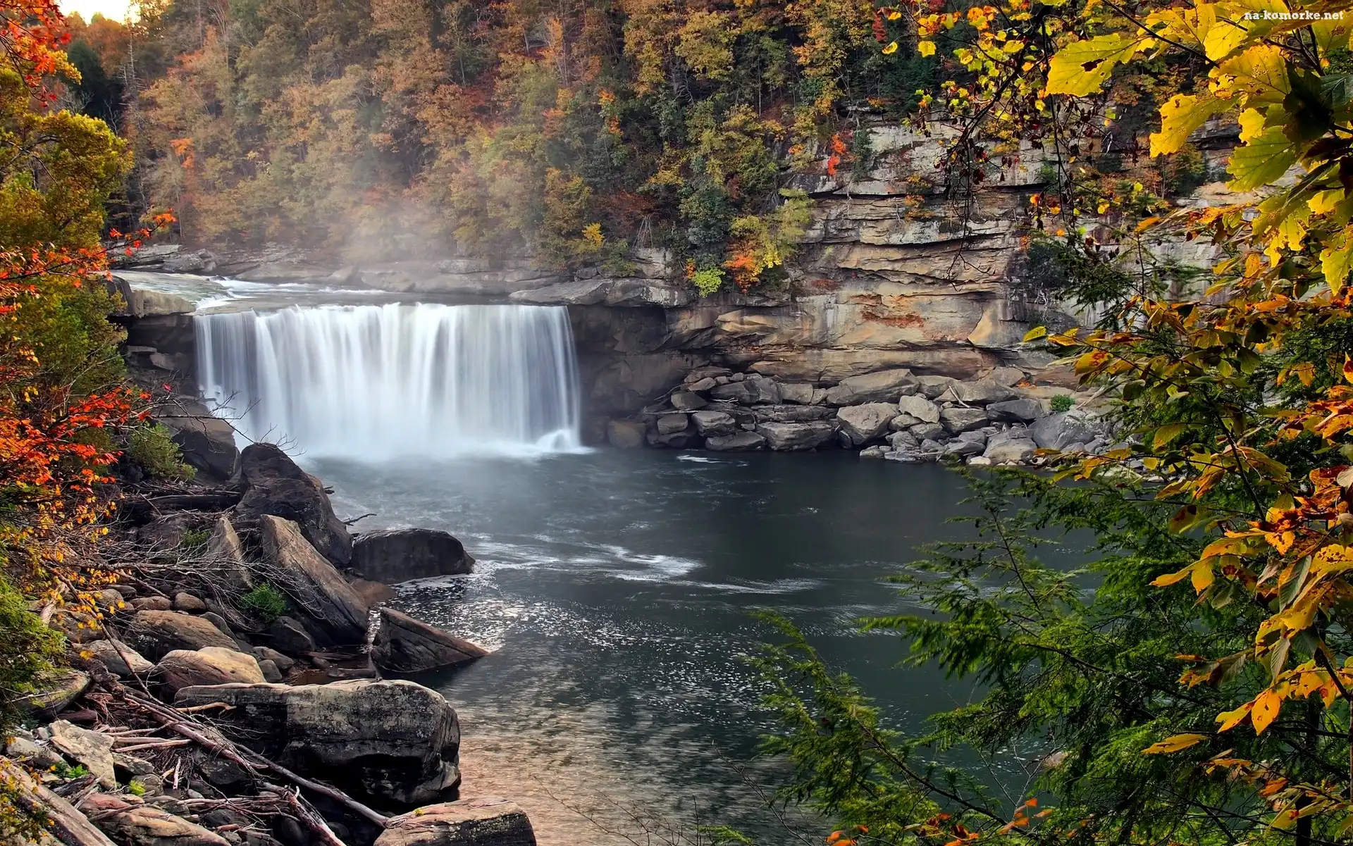 Stany Zjednoczone, Drzewa, Park Narodowy Cumberland Falls, Kamienie, Stan Kentucky, Wodospad Cumberland, Skały, Rzeka Cumberland