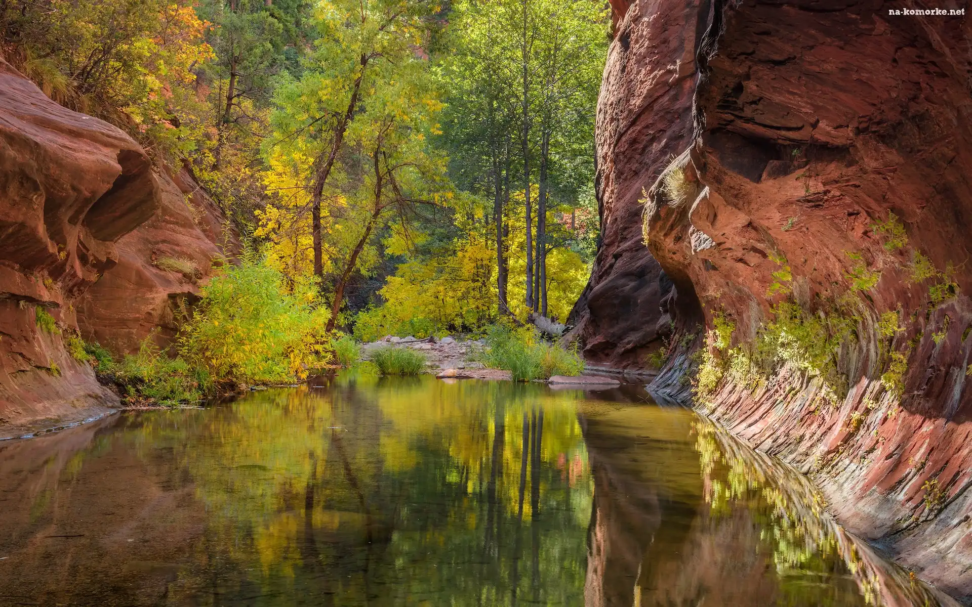 Stany Zjednoczone, Skały, Sedona, Drzewa, Arizona, Wąwóz, Oak Creek Canyon, Rzeka Oak Creek