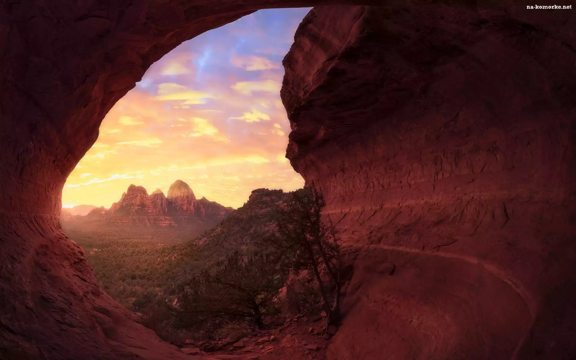 Arizona, Skały, Sedona, Stany Zjednoczone, Krzew, Góry