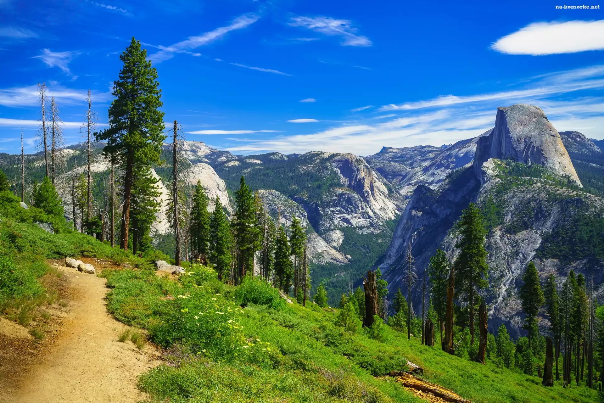 Góry, Kalifornia, Stany Zjednoczone, Sierra Nevada, Park Narodowy Yosemite, Ścieżka, Drzewa