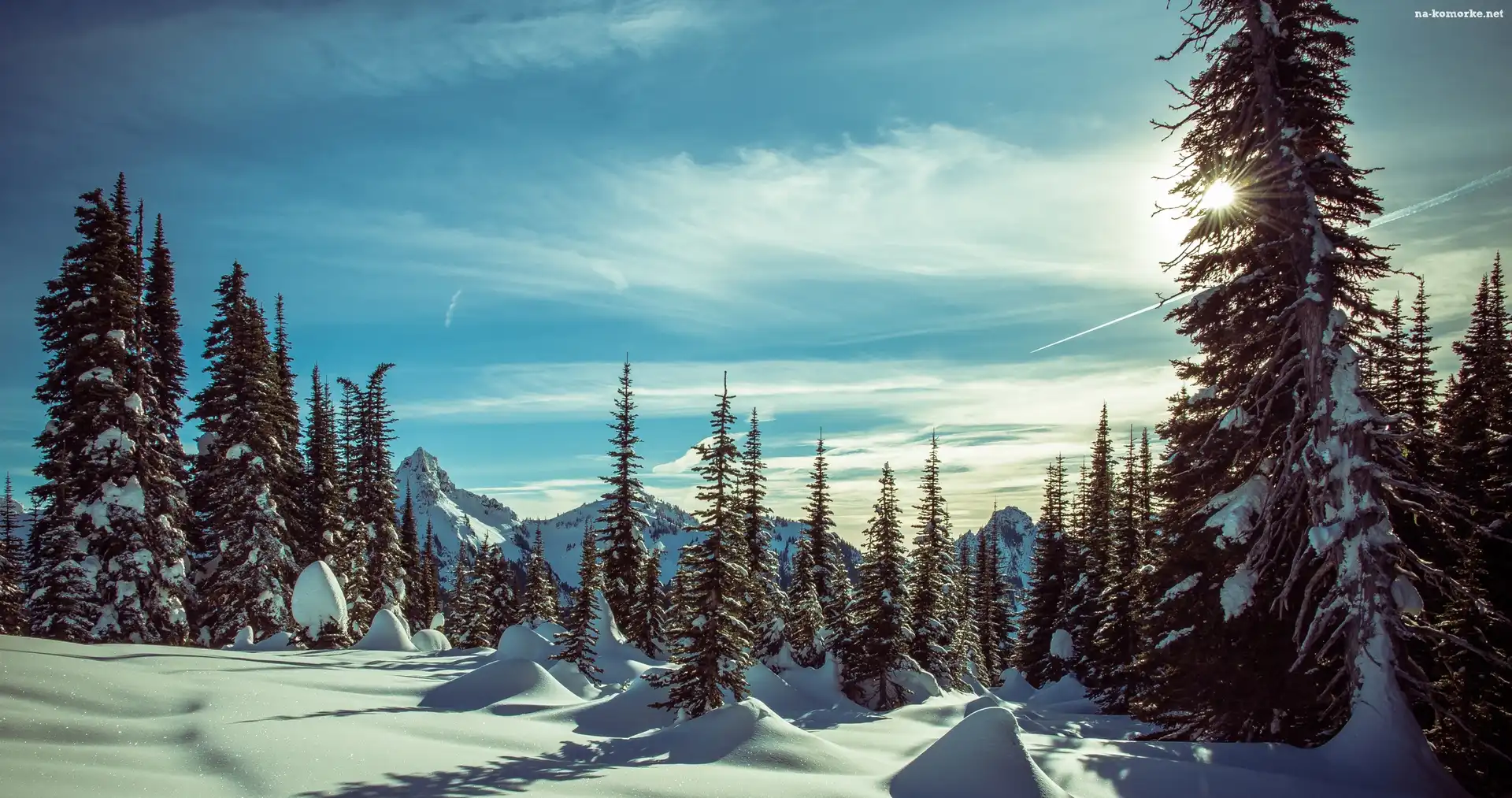 Stany Zjednoczone, Promienie słońca, Park Narodowy Mount Rainier, Zima, Waszyngton, Góry, Drzewa, Zaspy