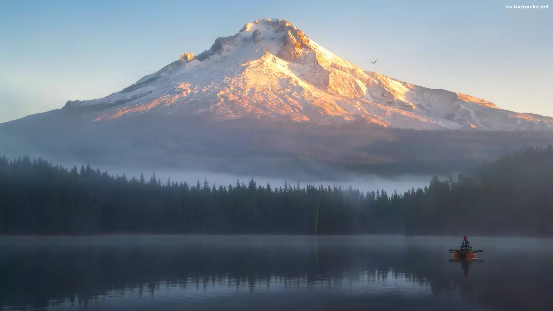 Stratowulkan, Mgła, Lasy, Góra, Stany Zjednoczone, Jezioro, Łódka, Mount Hood, Stan Oregon, Poranek, Rybak