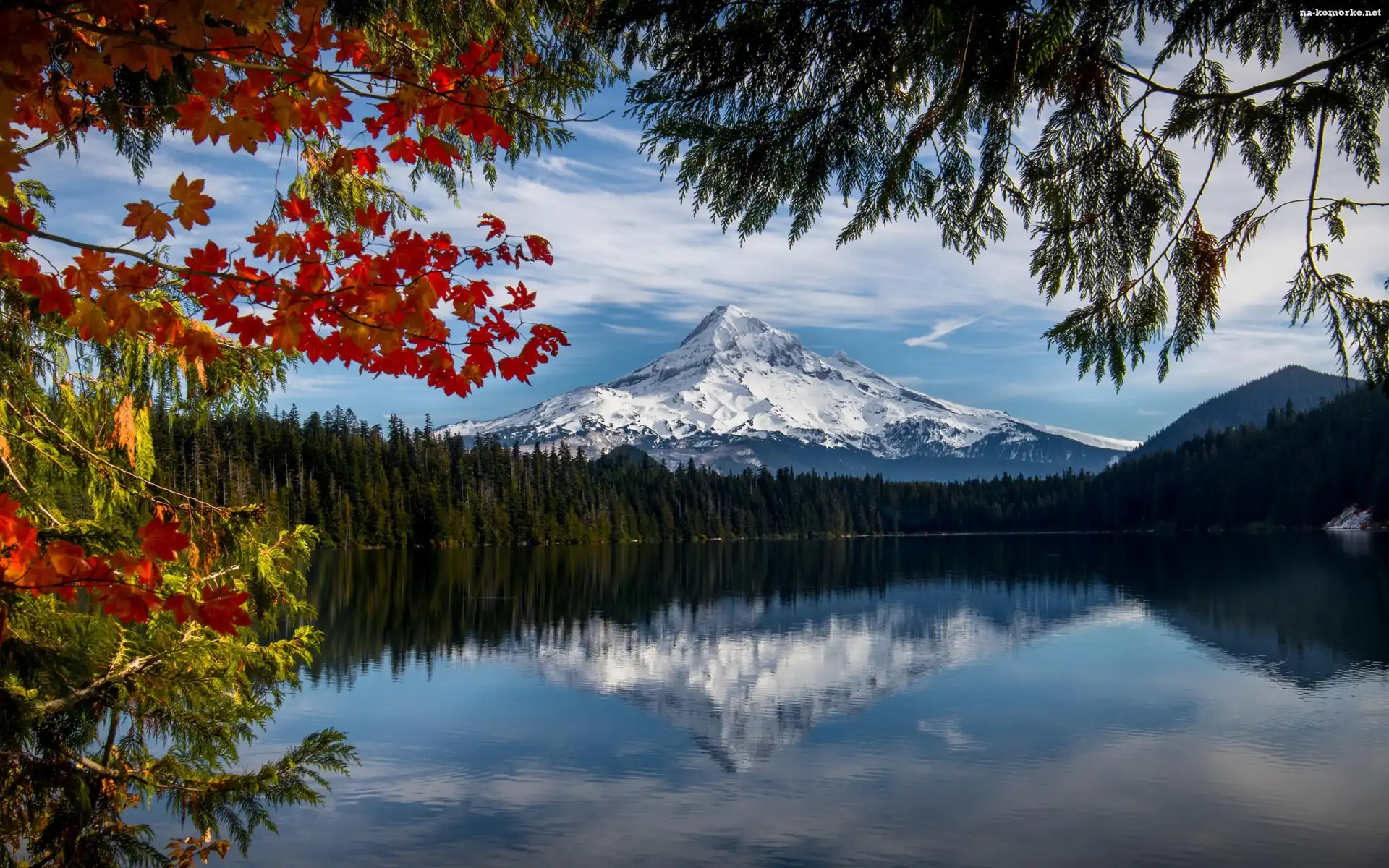 Stratowulkan Mount Hood, Stan Oregon, Stany Zjednoczone, Drzewa, Góra, Jezioro Lost Lake