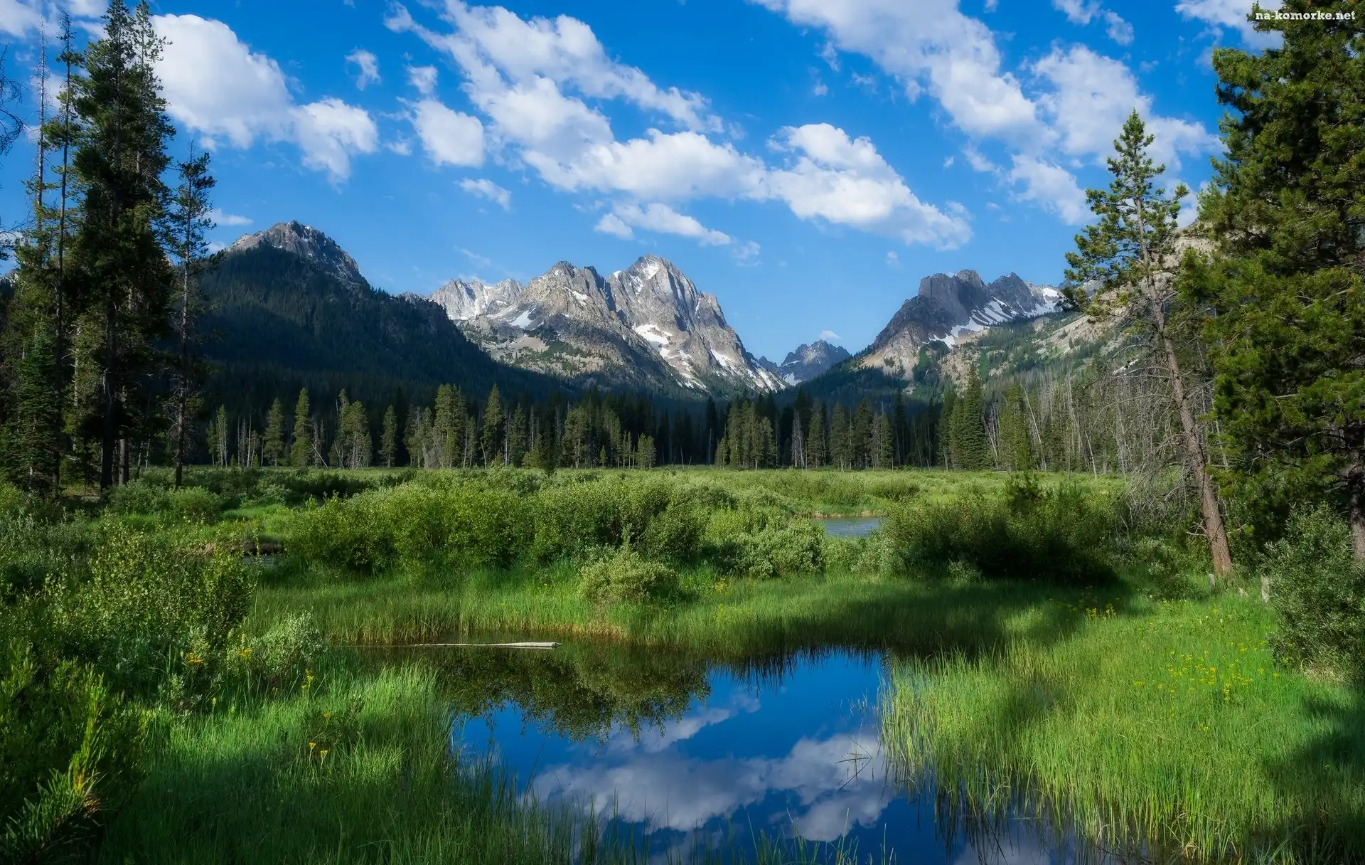 Stany Zjednoczone, Rozlewiska, Trawa, Stan Idaho, Góry Sawtooth Range, Szczyt Horstmann Peak, Drzewa