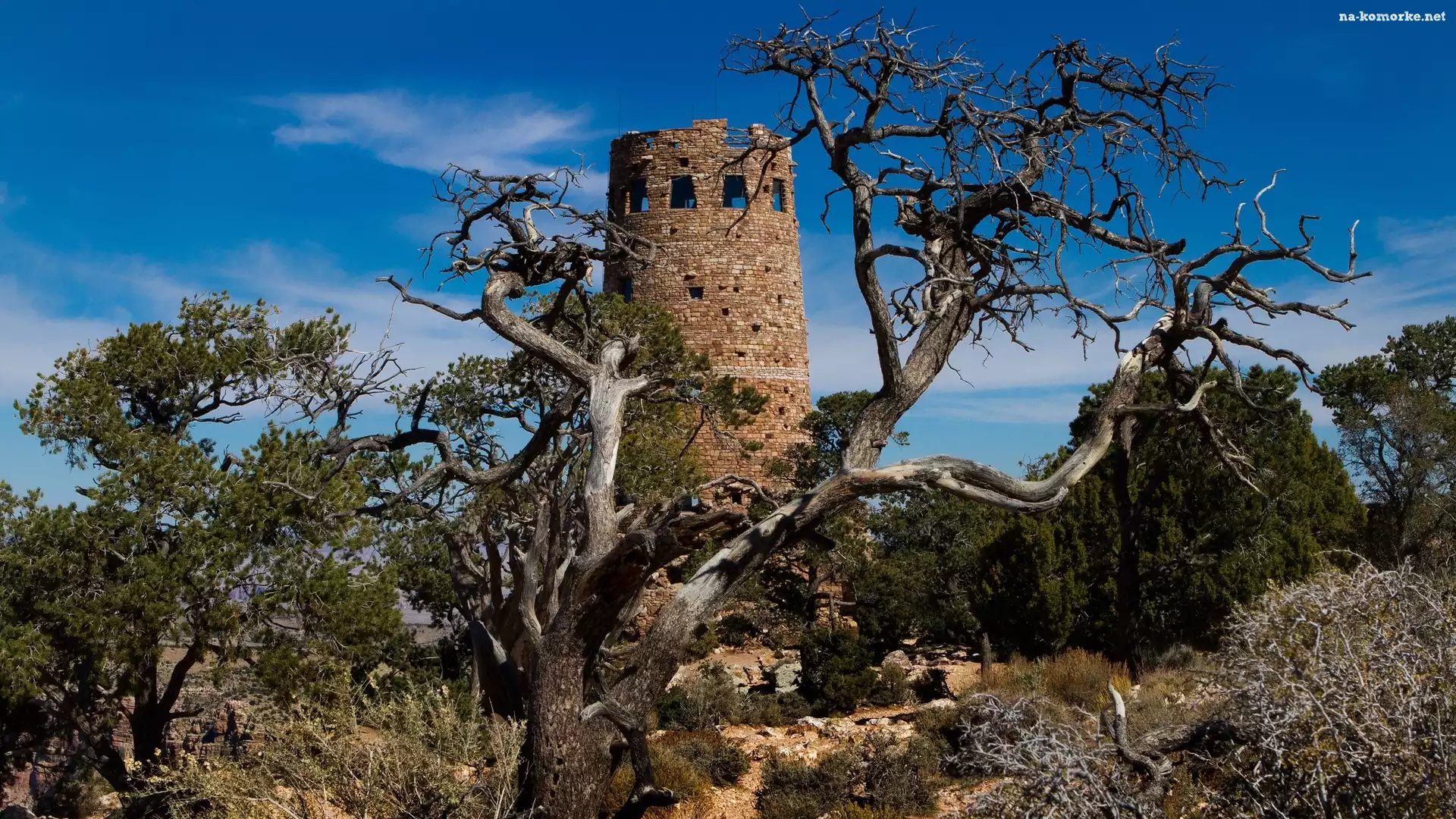 Stany Zjednoczone, Drzewa, Zarośla, Stan Arizona, Park Narodowy Wielkiego Kanionu, Wieża Desert View Watchtower, Niebo