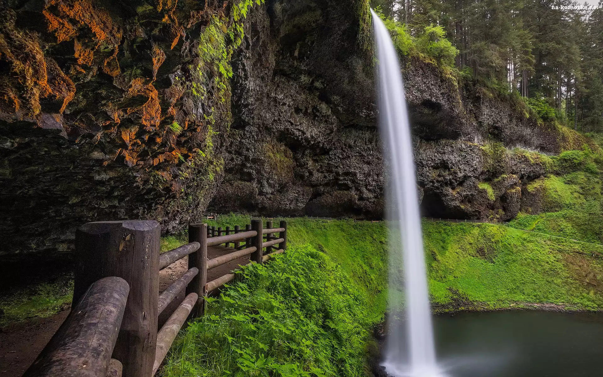 Wodospad, Drzewa, Roślinność, Latourell Falls, Stany Zjednoczone, Skały, Oregon, Ogrodzenie, Hrabstwo Multnomah