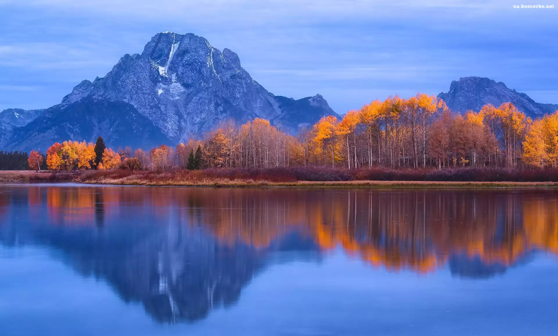 Stany Zjednoczone, Drzewa, Park Narodowy Grand Teton, Jesień, Stan Wyoming, Rzeka Snake River, Góry, Szczyt Mount Moran