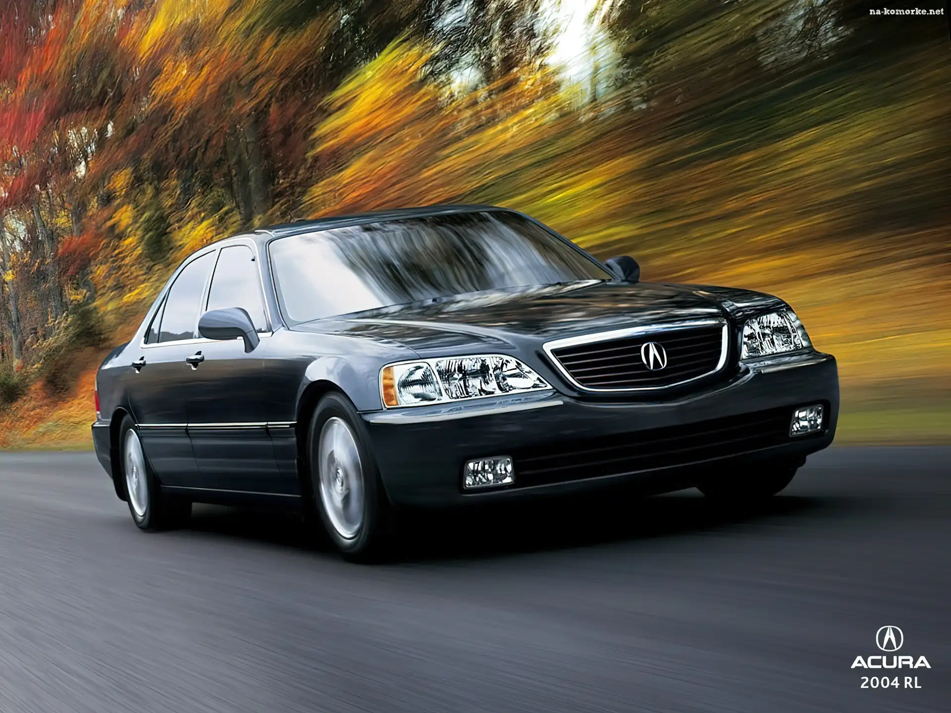 Stara, Model, Acura RL, Flagowy