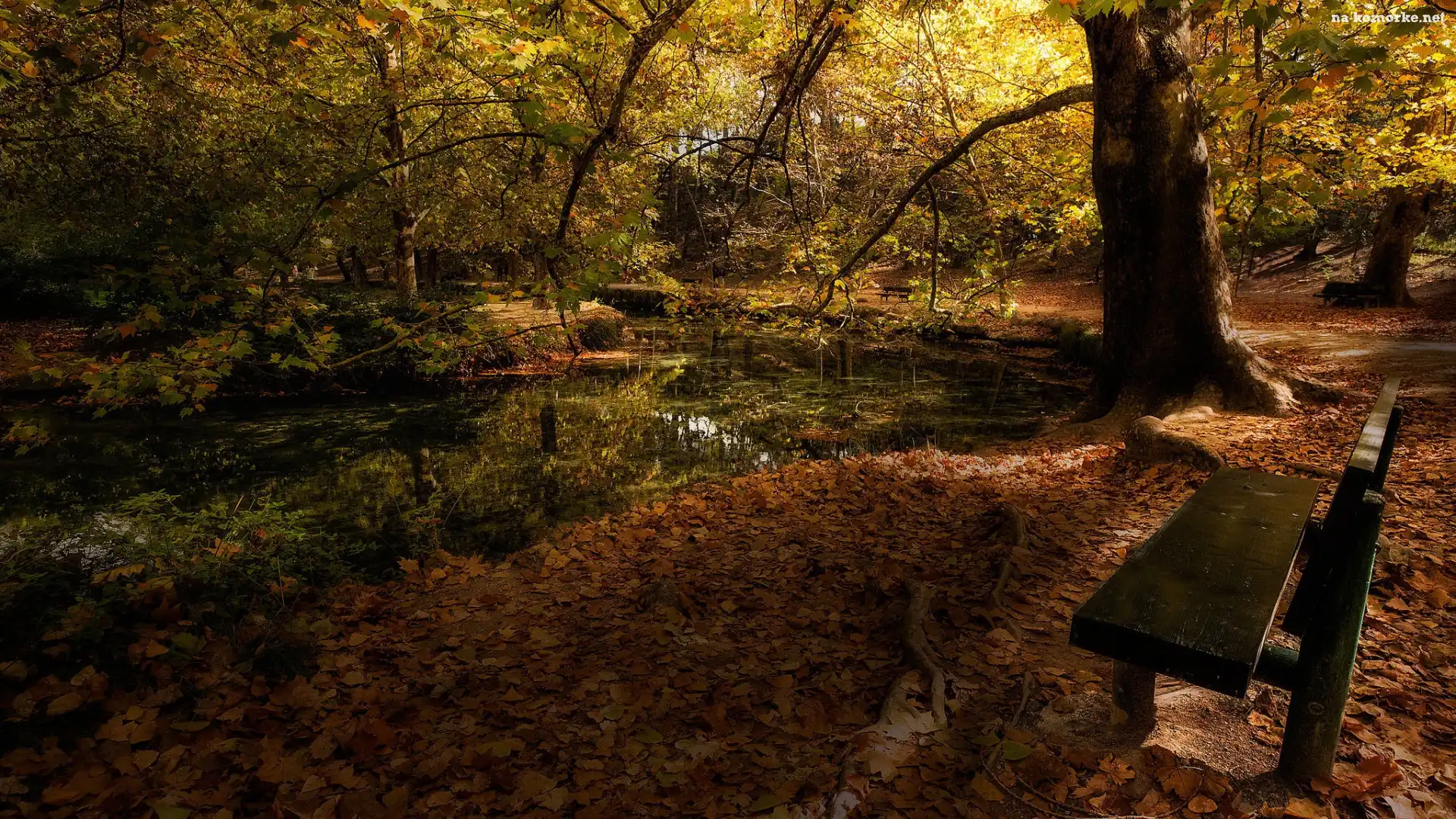 Staw, Jesień, Park, Ławka, Drzewa