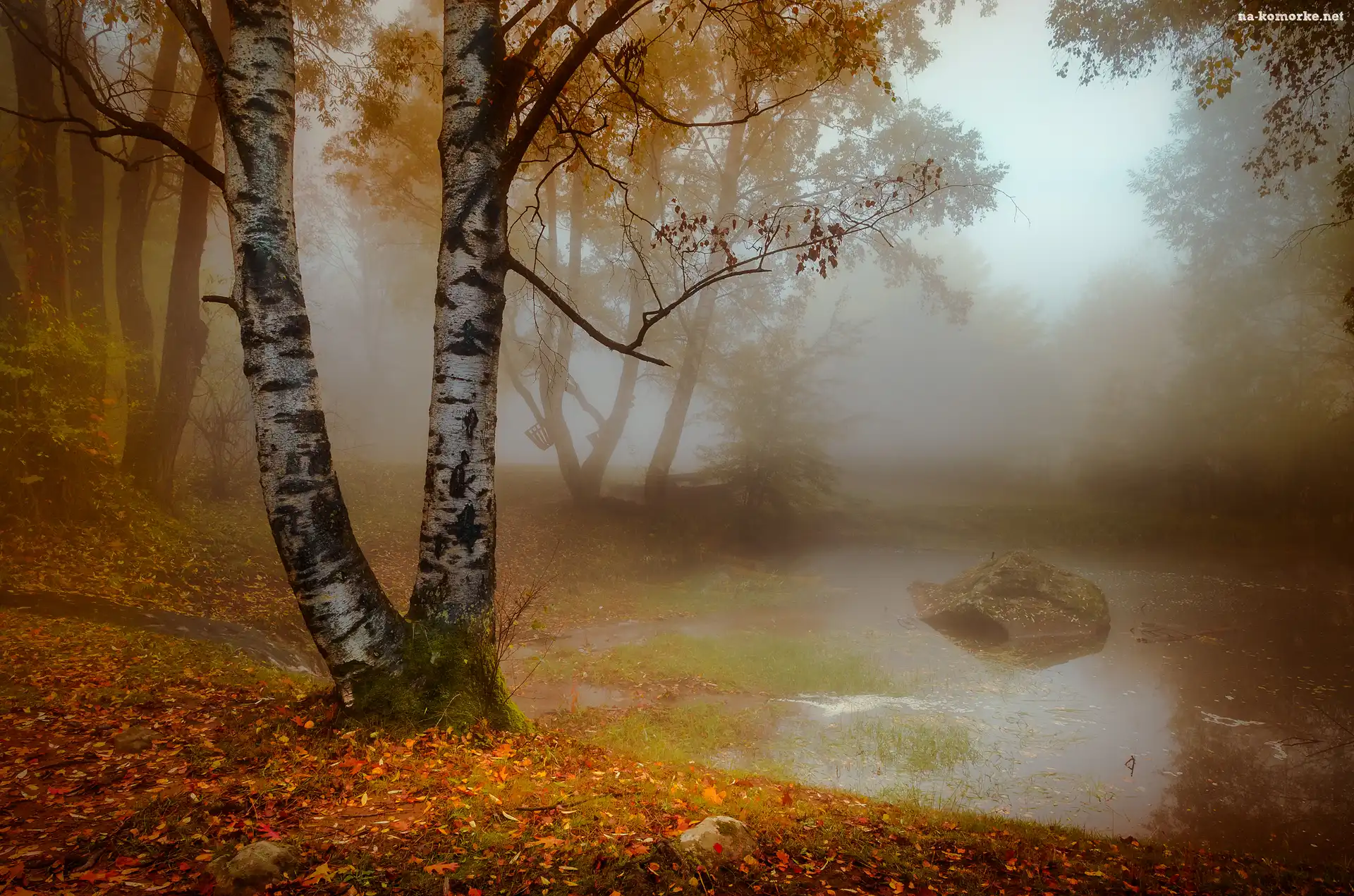 Jesień, Staw, Świt, Kamień, Park, Mgła, Drzewa, Brzoza
