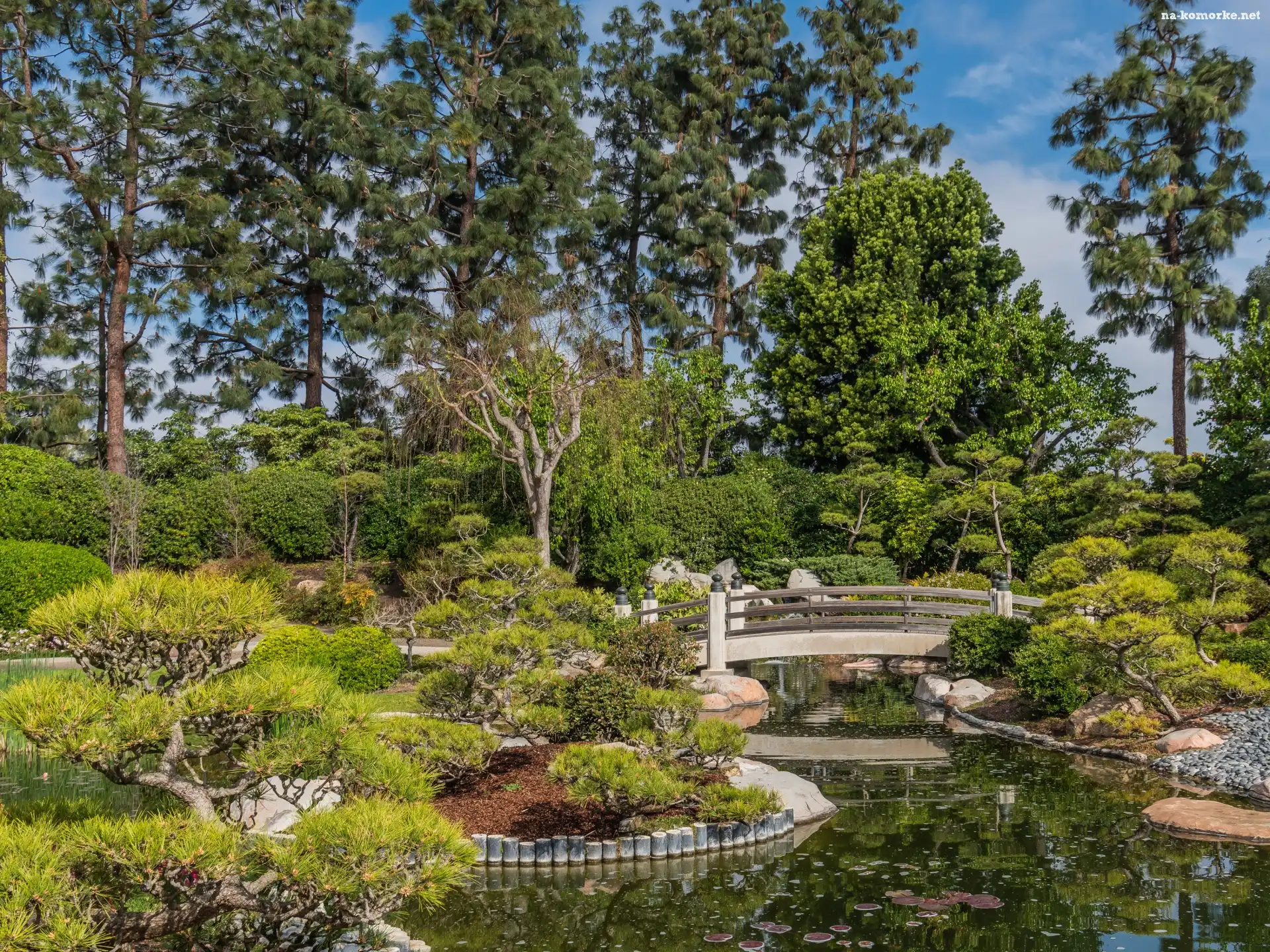 Staw, Ogród, Earl Burns Miller Japanese Garden, Drzewa, Stany Zjednoczone, Most, Kalifornia, Krzewy, Long Beach