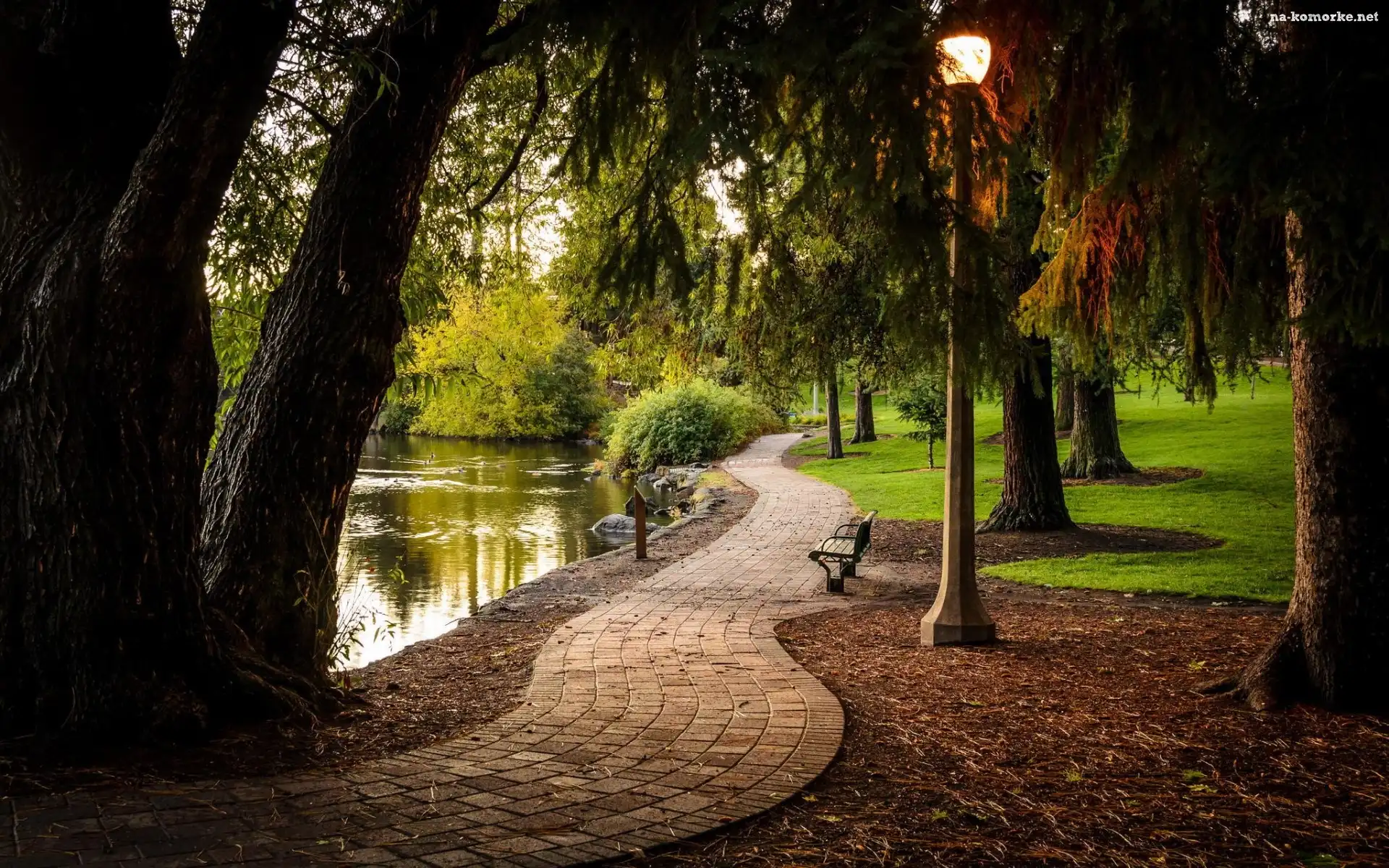 Ławki, Park, Alejka, Staw, Latarnia
