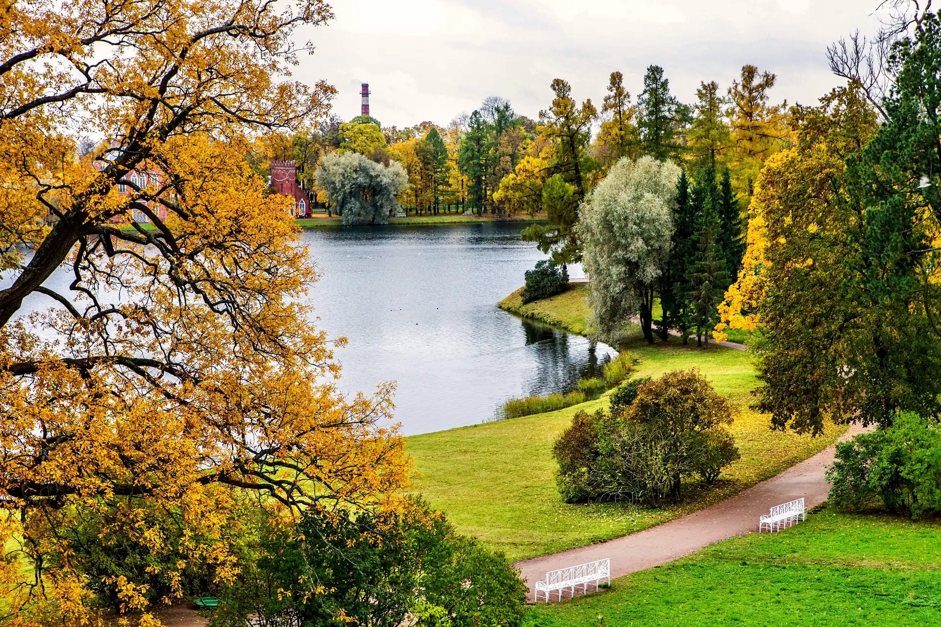 Park, Staw, Jesień