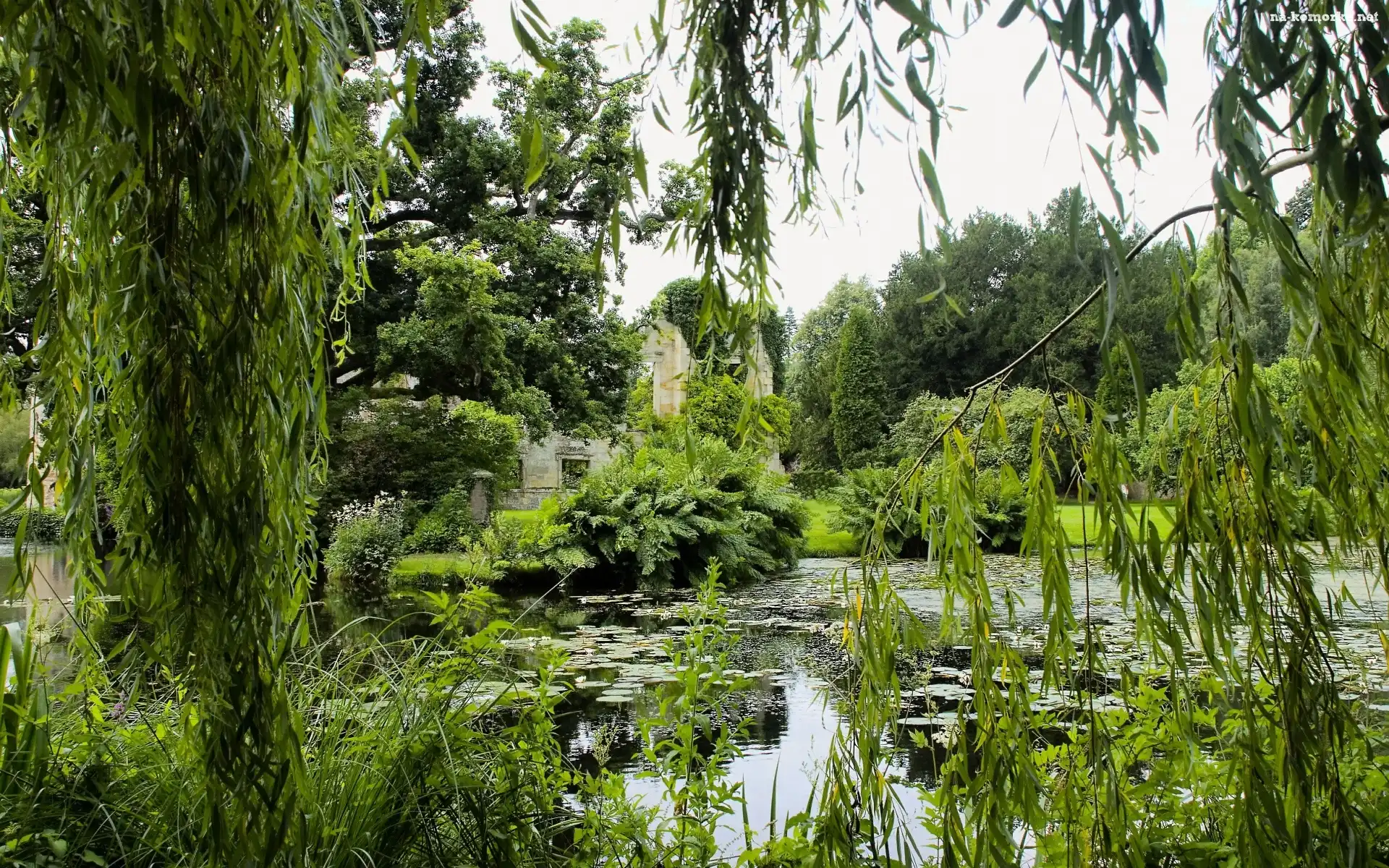 Staw, Roślinność, Park, Drzewa