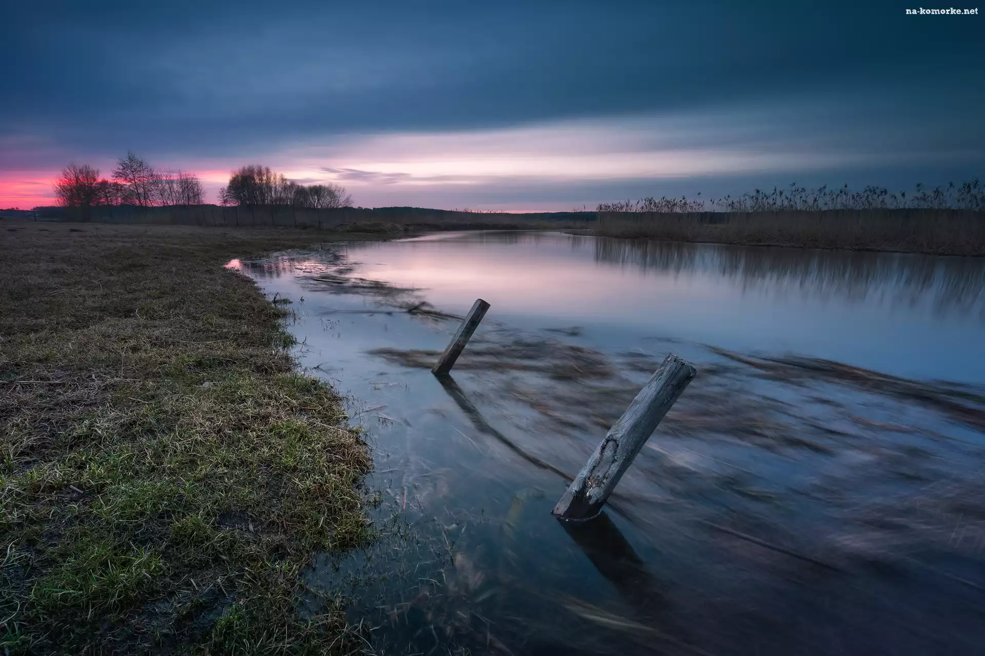 Rzeka Supraśl, Podlasie, Polska, Poranek, Drzewa, Kołki, Trawa