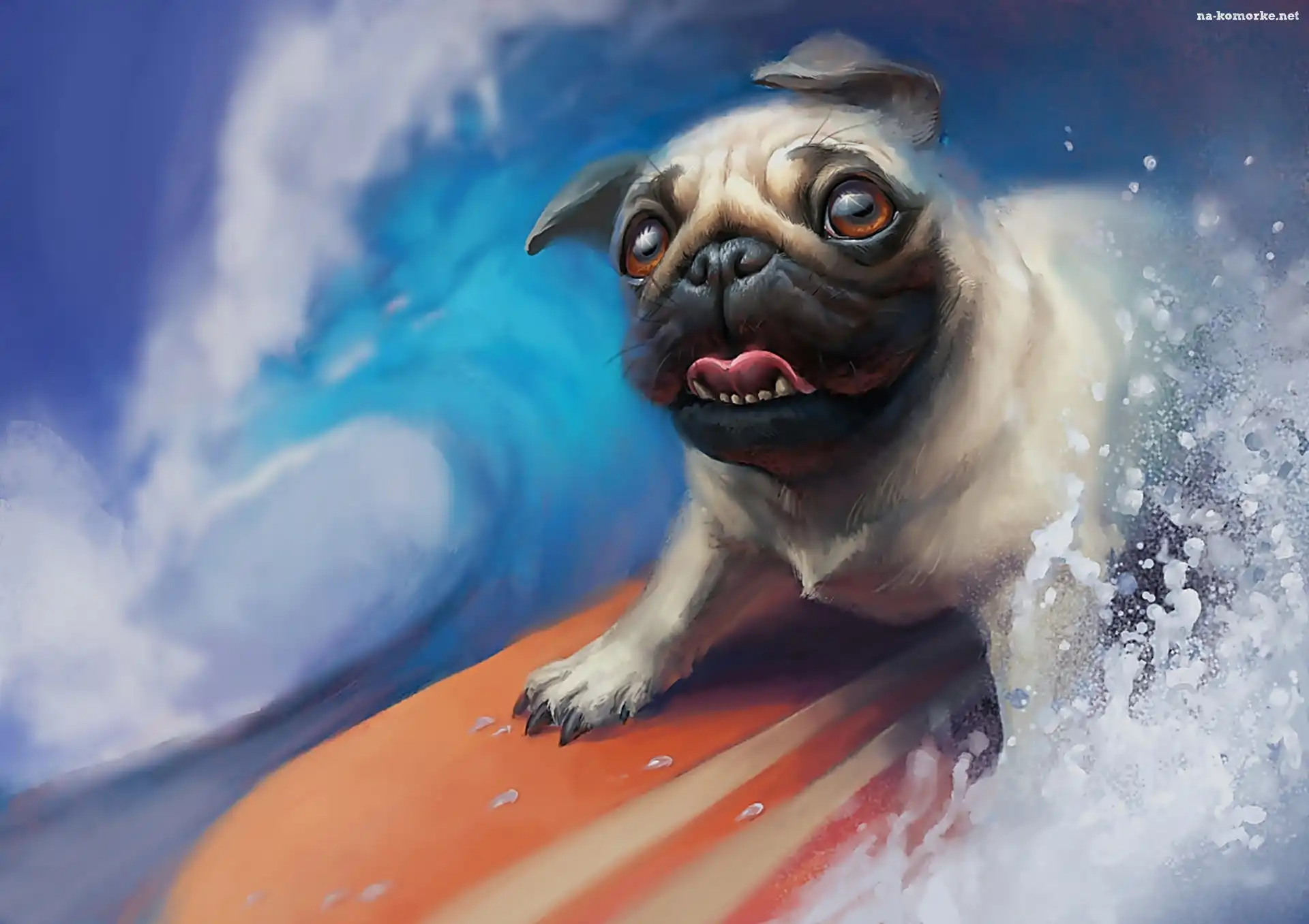 Surfing, Pies, Åšmieszne, Grafika, Deska, Woda