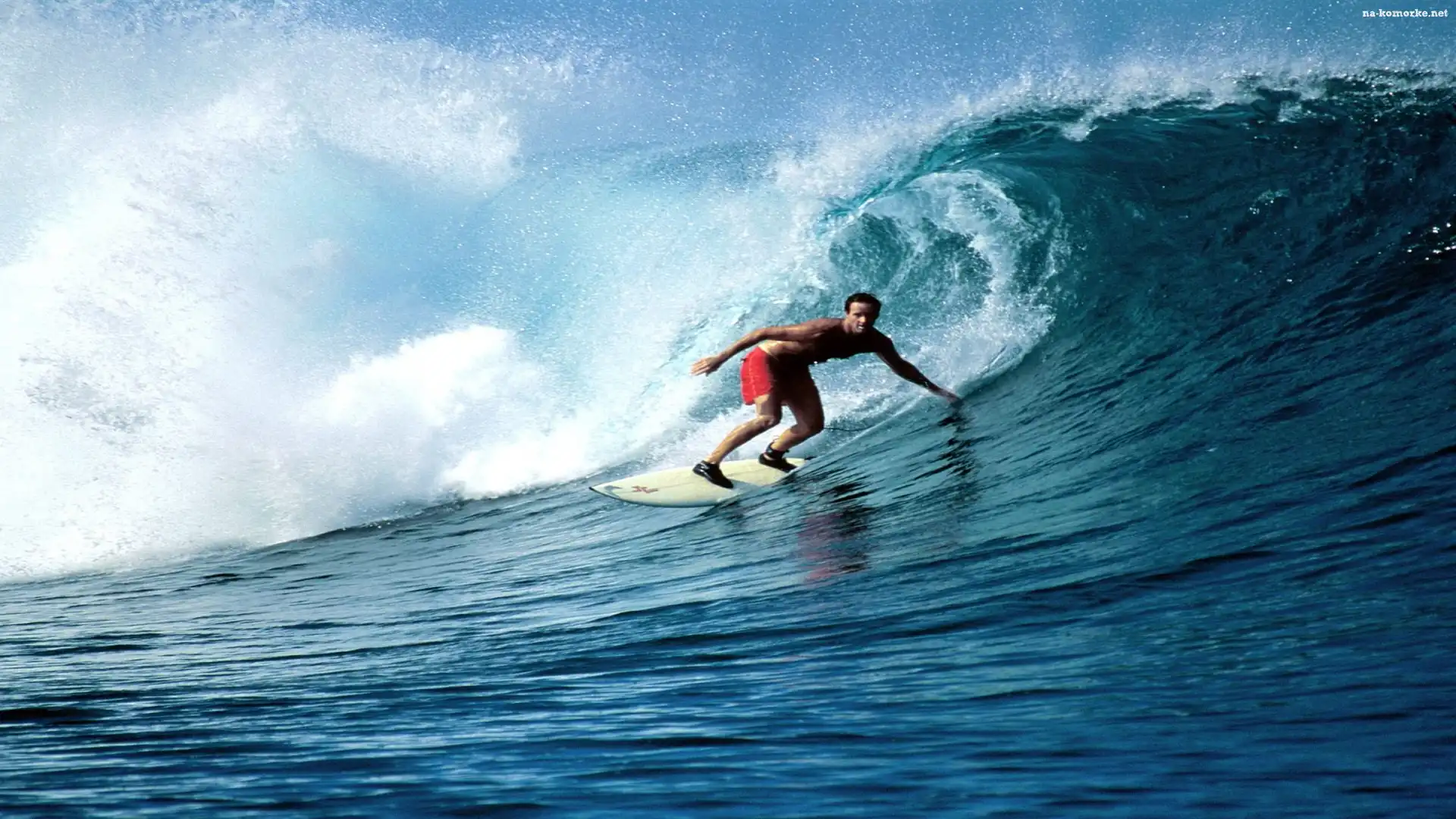 Surfing, Fala