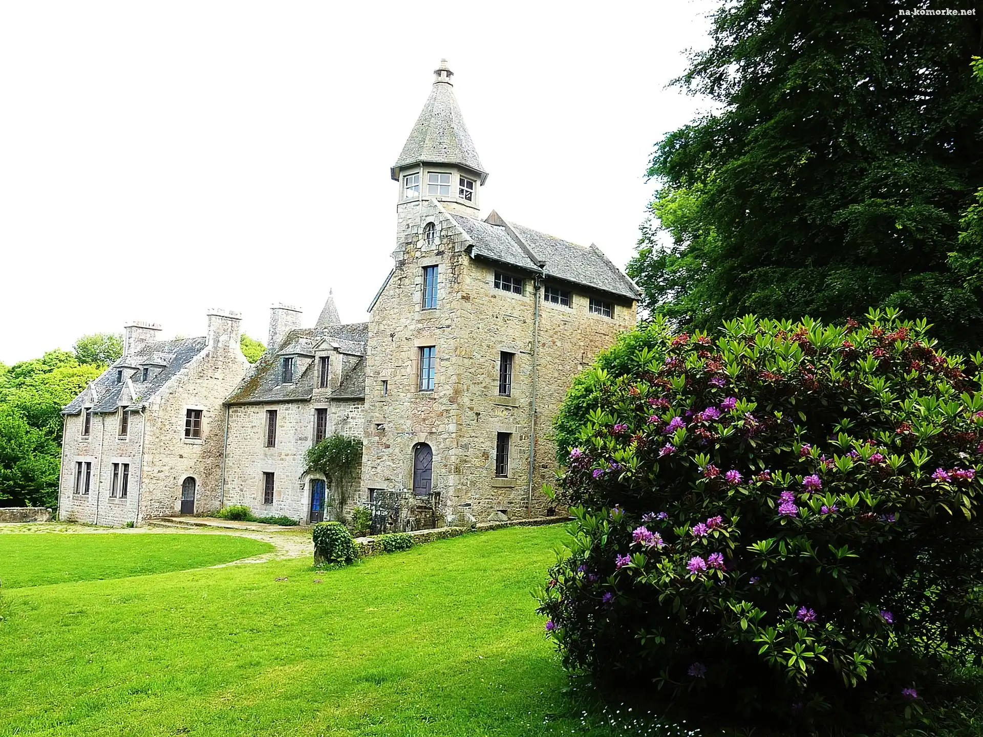 Zamek, Francja, Suscinio