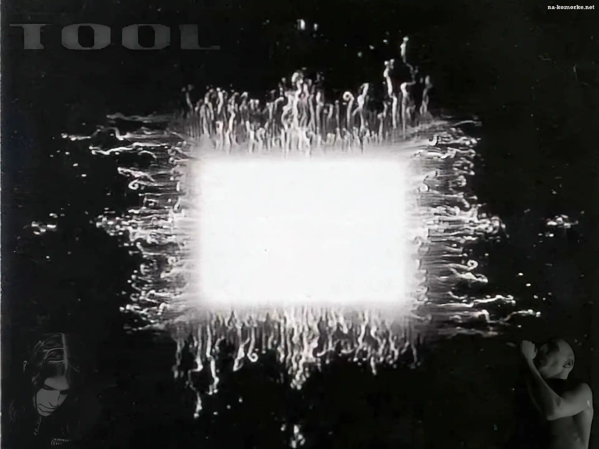 Tool, światło , człowiek