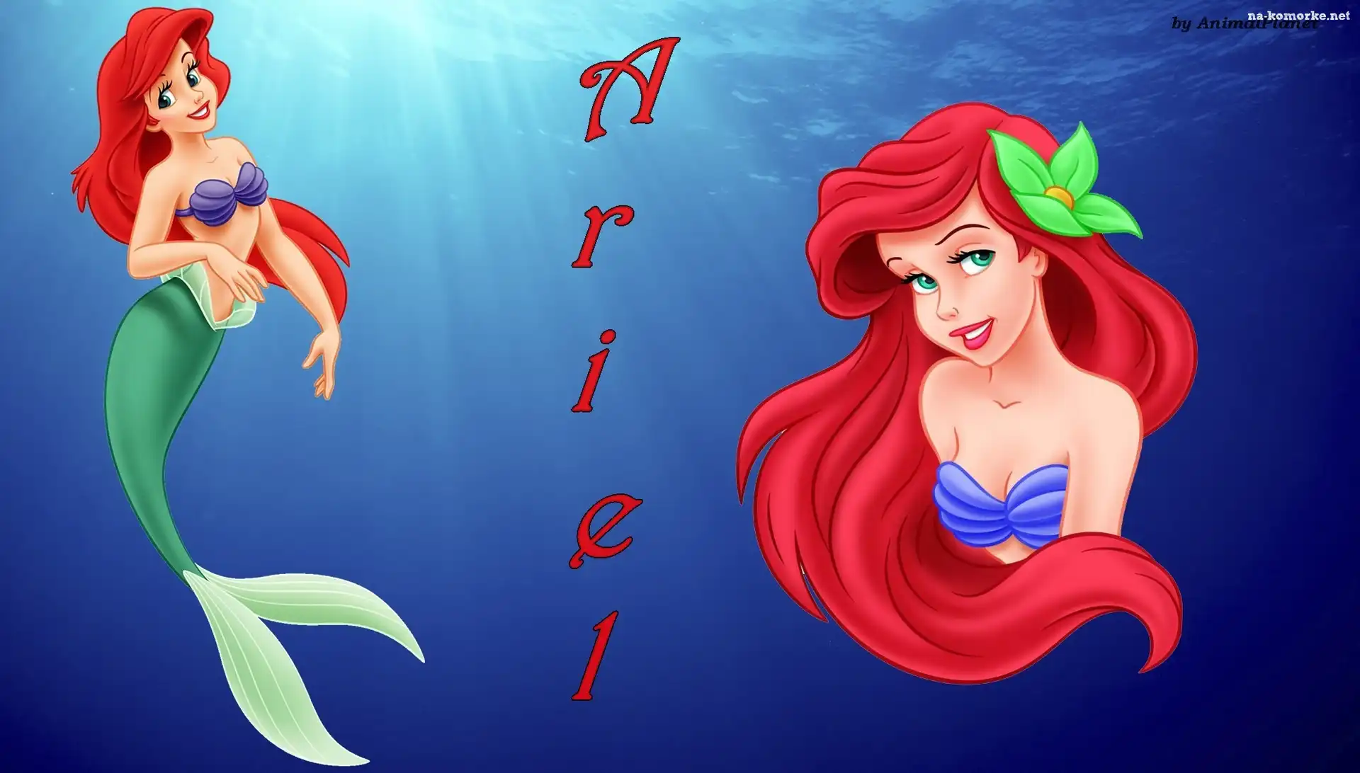 Bajka, Syrenka, Ariel
