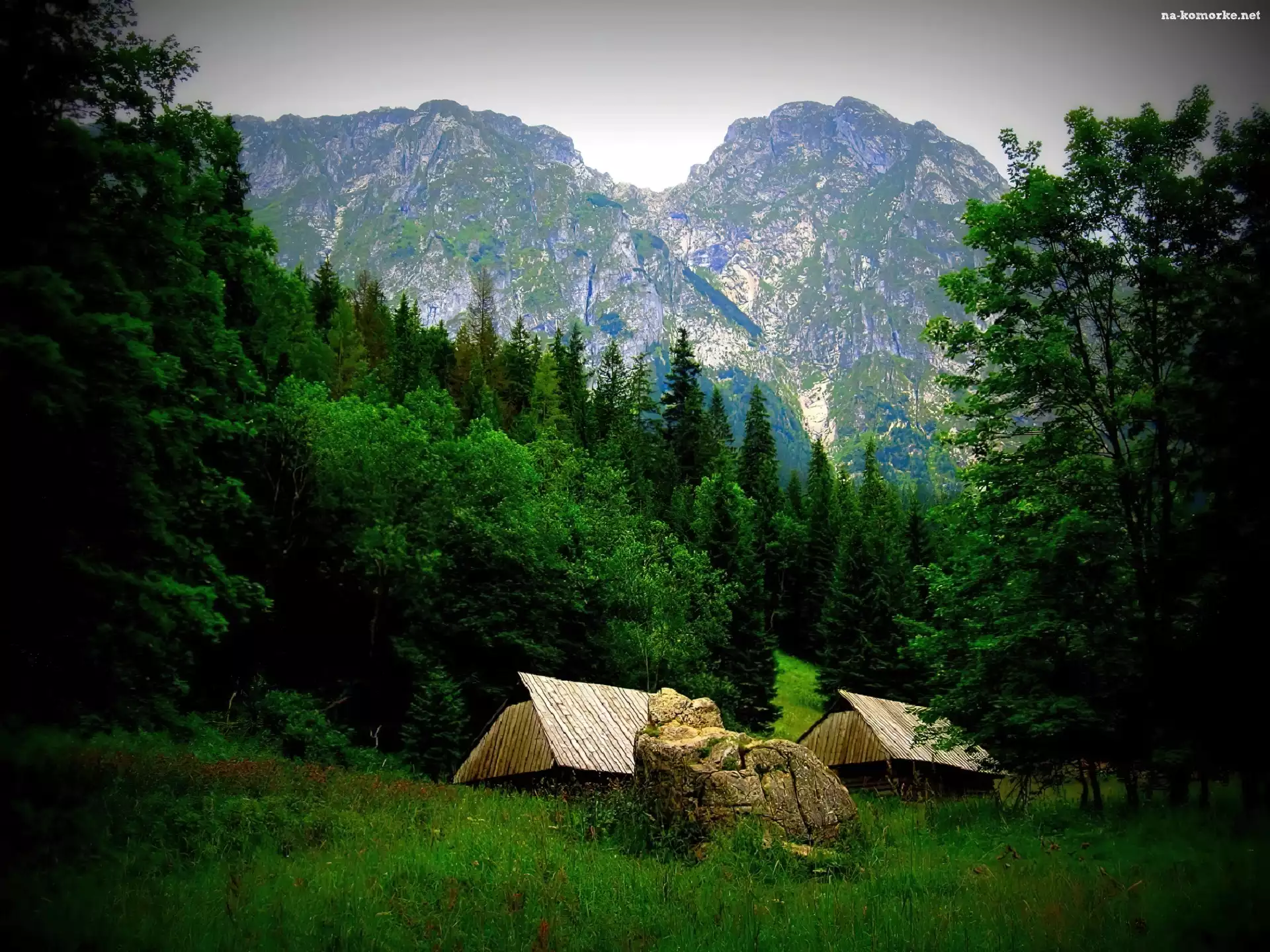 Krajobraz, Szałasy, Las, Góry, Tatry, Dolina, Strążyska