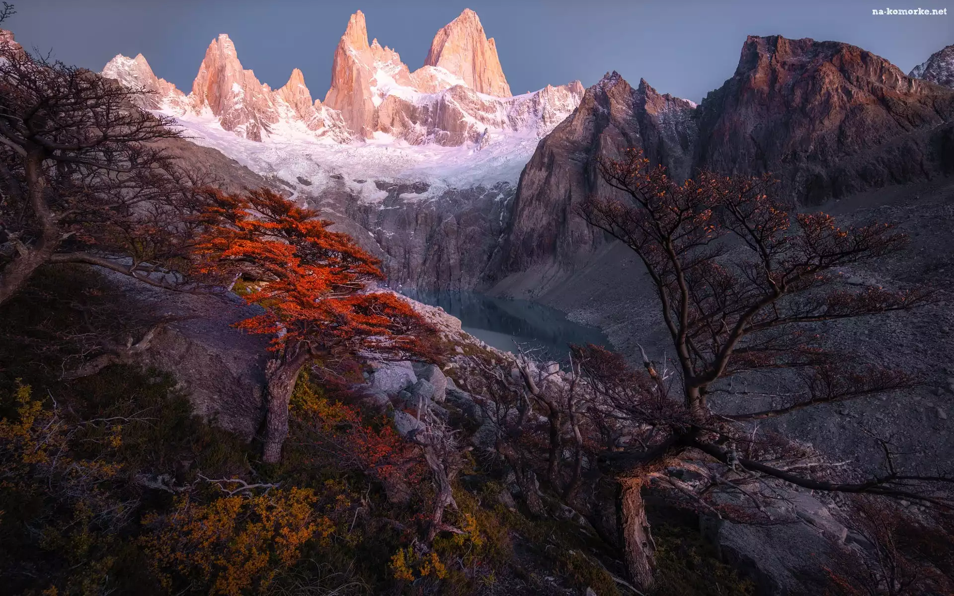 Szczyt Fitz Roy, Jezioro, Argentyna, Drzewa, Ośnieżone, Góry, Patagonia