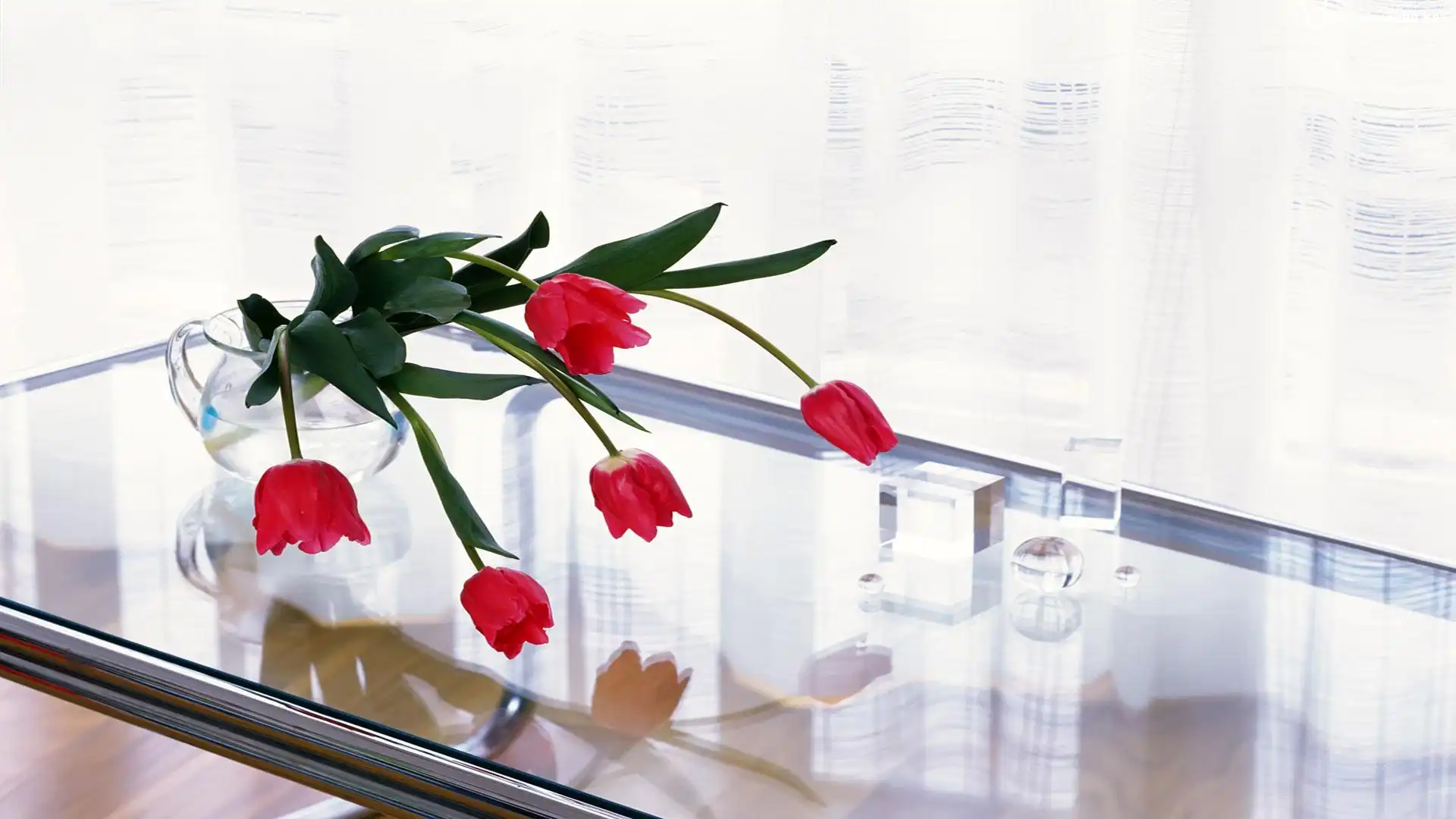 Tulipany, Szklany, Blat