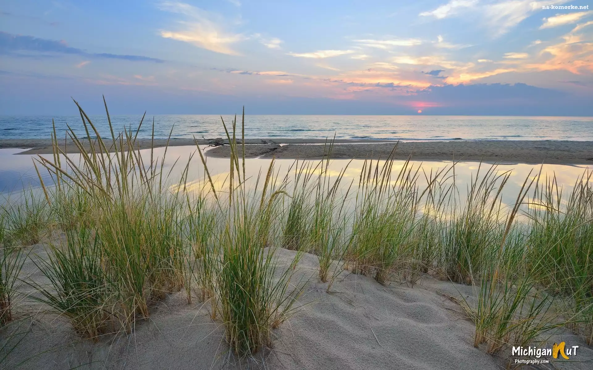 Szuwary, Trawy, Stany Zjednoczone, Piasek, Jezioro, Lake Michigan, Michigan