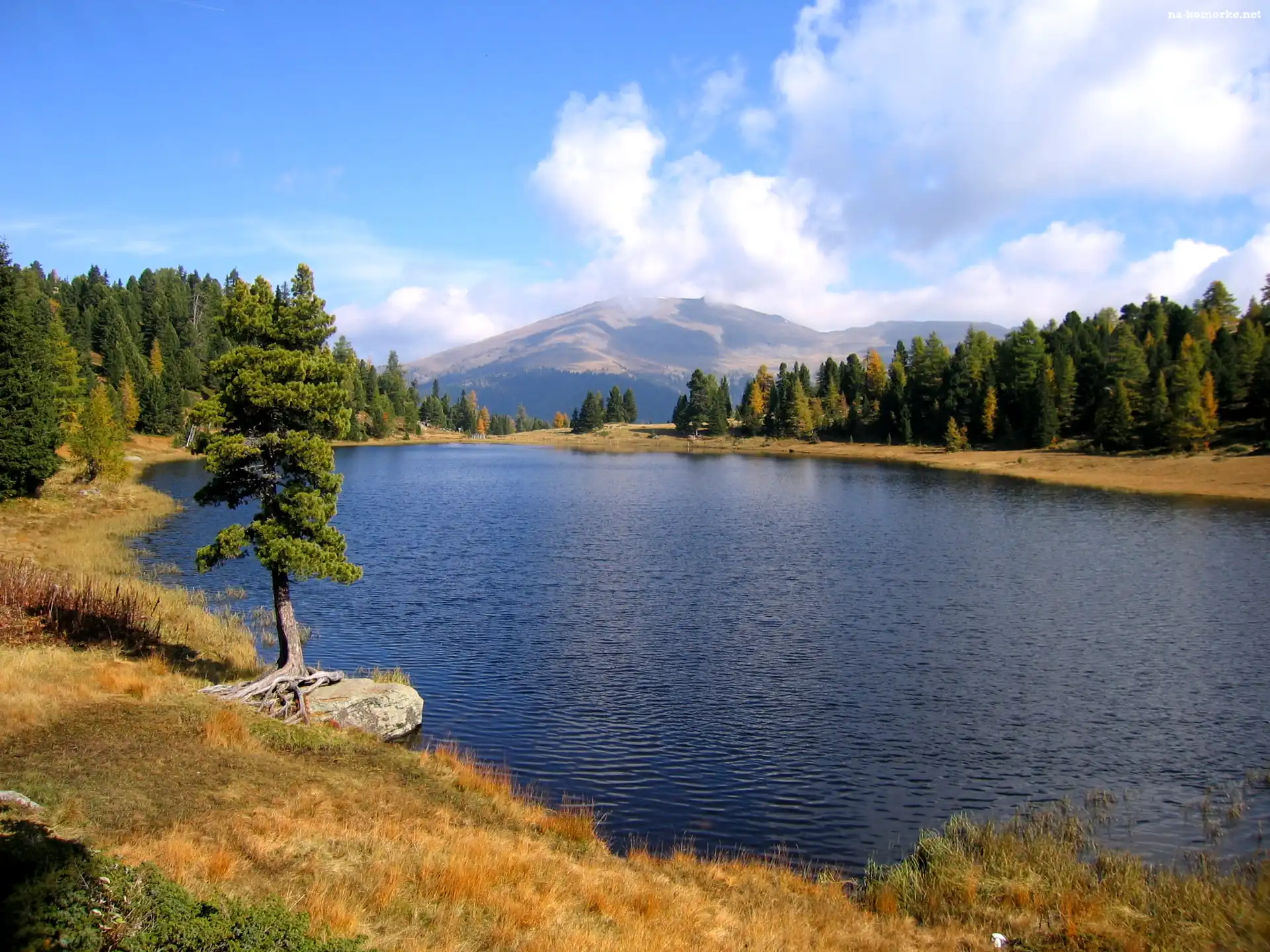 Szwajcaria, Czarne, Jezioro, Drzewa, Trawa