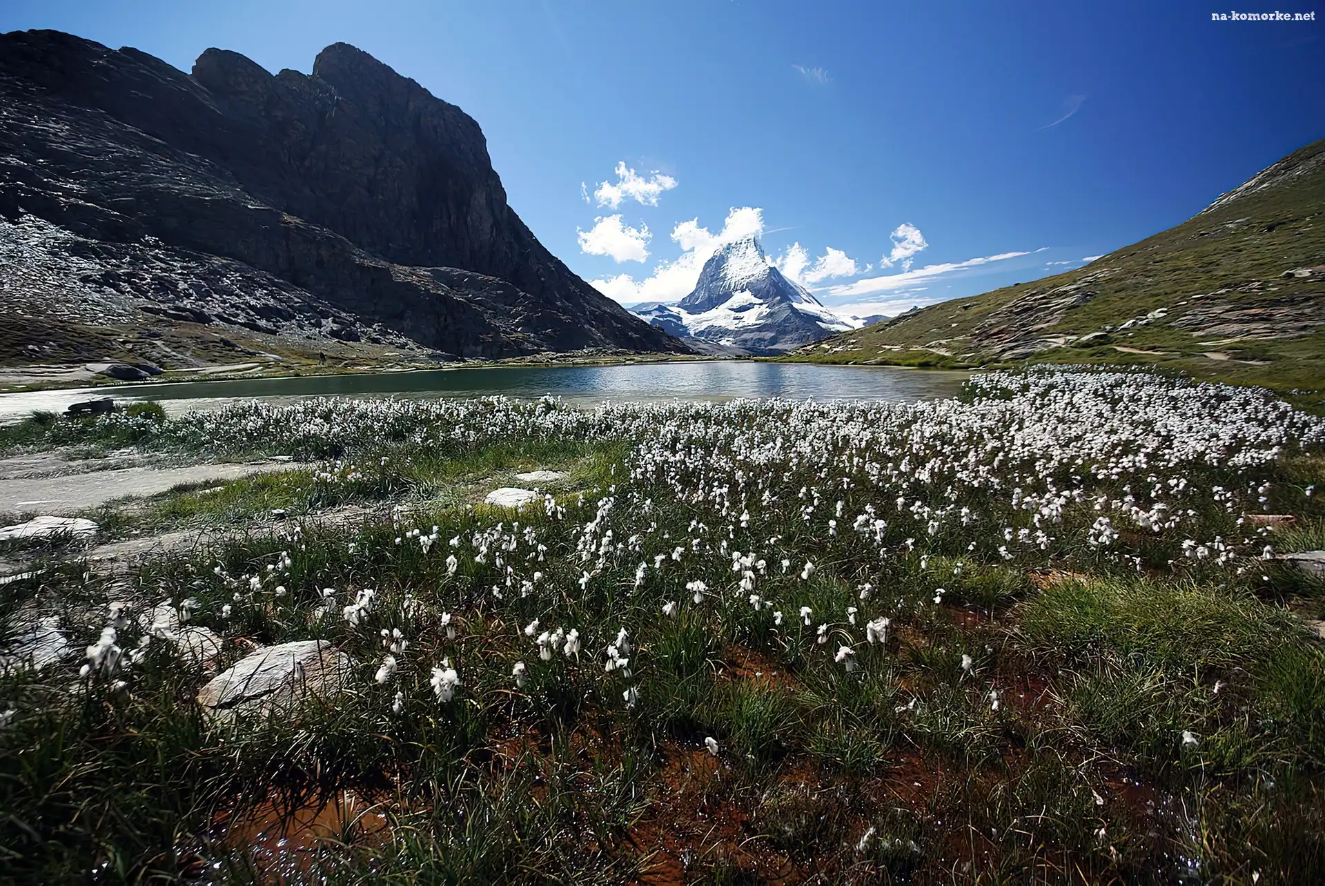 Szwajcaria, Łąka, Jeziorko, Góry, Matterhorn