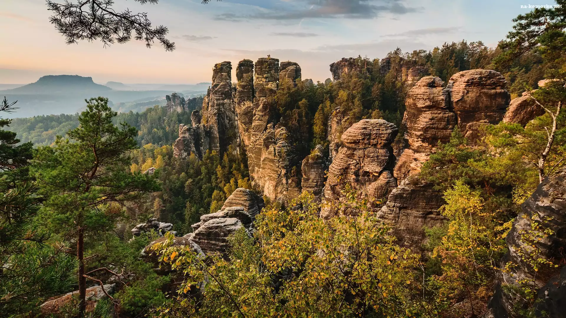 Drzewa, Skały, Góry Połabskie, Niemcy, Bastei, Park Narodowy Saskiej Szwajcarii