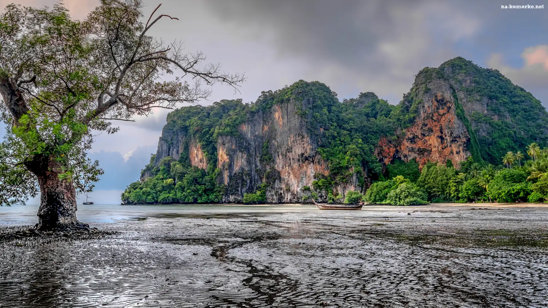 Góry, Krabi, Tajlandia, Zatoka East Railay Bay, Drzewo, Łódki, Ao Nang