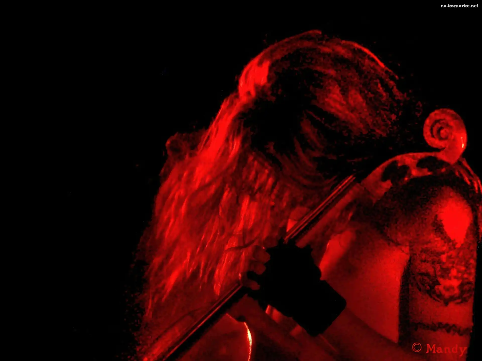 Apocalyptica, tatuaż, człowiek