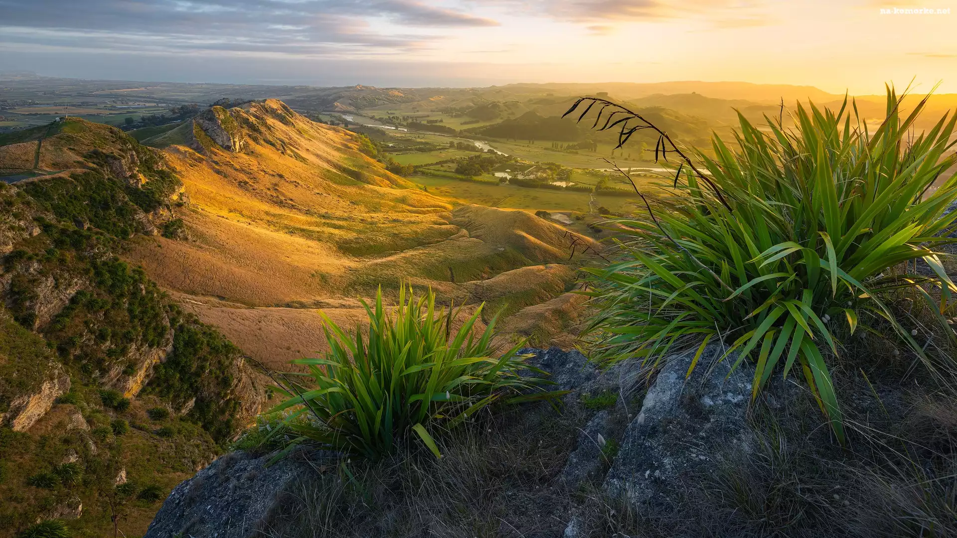 Góry, Dolina, Wzgórza, Nowa Zelandia, Wschód słońca, Rośliny, Te Mata Peak, Region Hawkes Bay