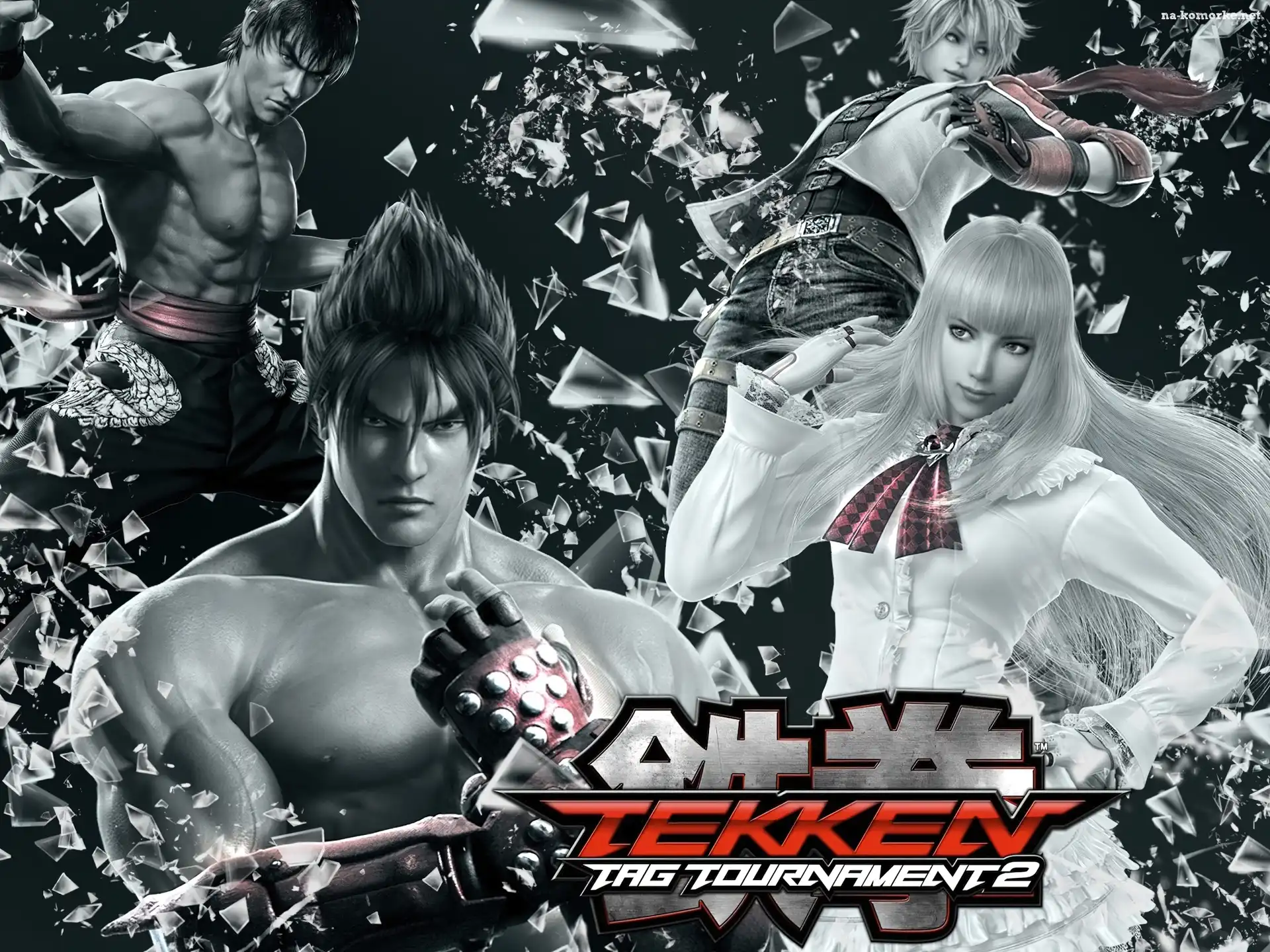 Leo Kliesen, Tekken Tag Tournament 2, Jin Kazama, Lili, Marshal Law