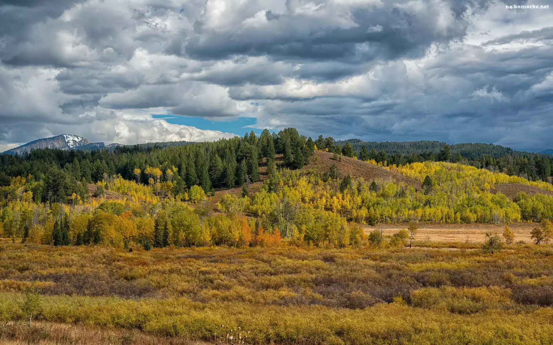Teton Range, Stan Wyoming, Drzewa, Park Narodowy Grand Teton, Chmury, Stany Zjednoczone, Pole, Góry