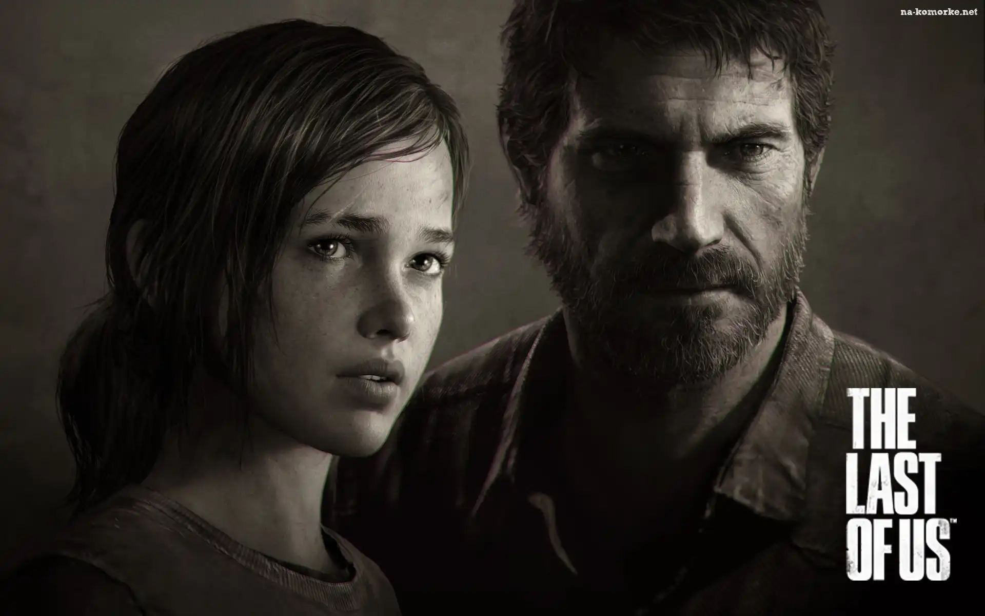 The Last Of Us, Ellie, Josh