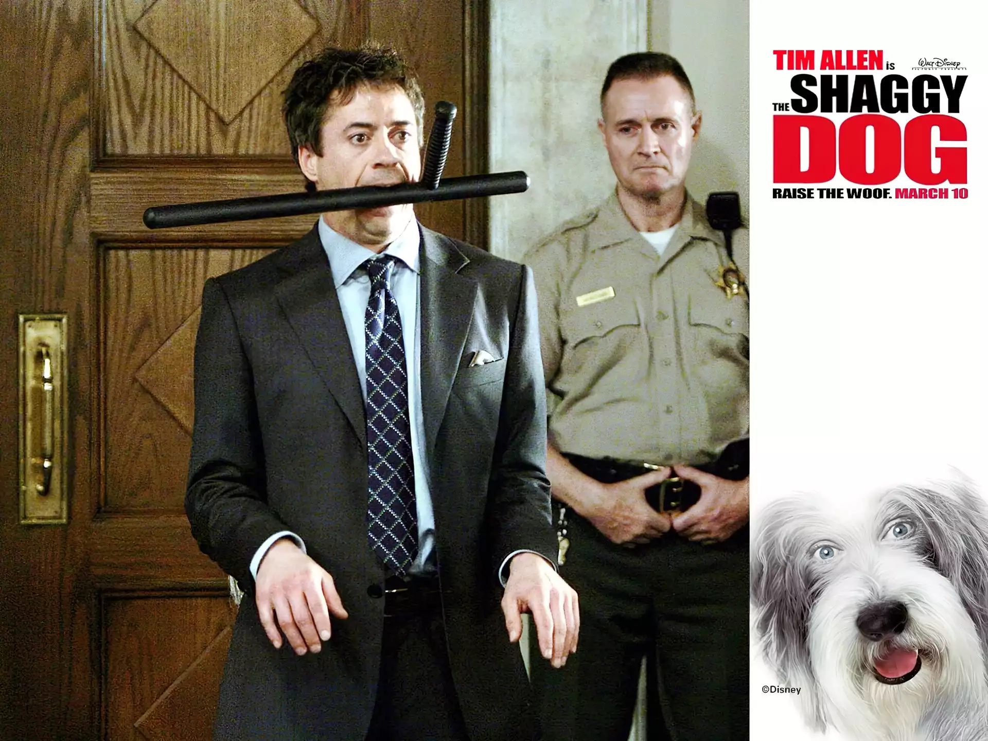 garnitur, The Shaggy Dog, pałka, pies, policjant
