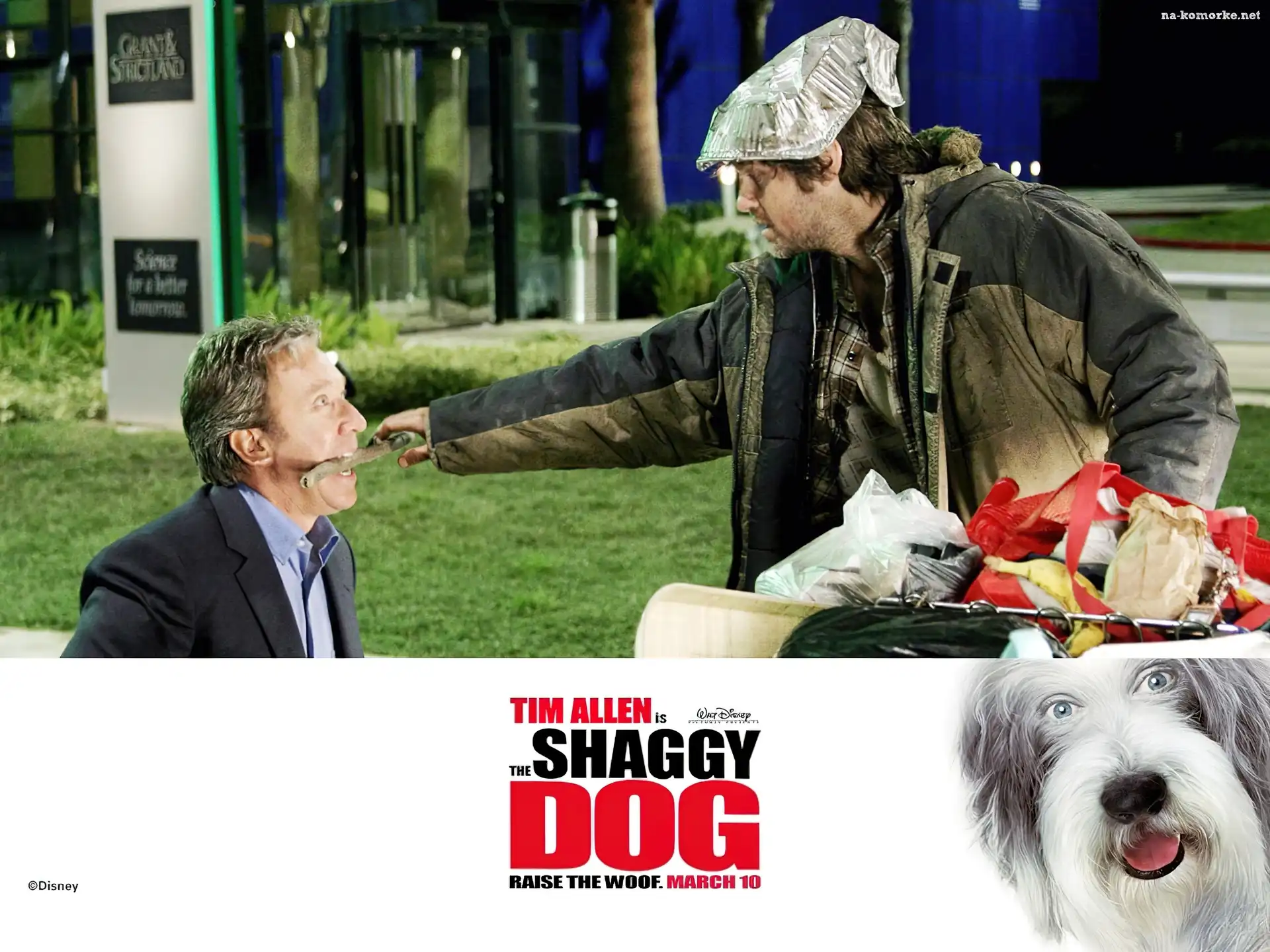 The Shaggy Dog, bezdomny, kij, Tim Allen, pies