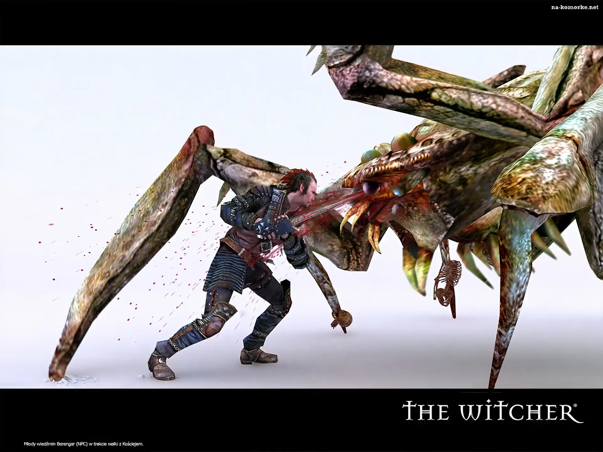 The Witcher, potwór, wojownik, mężczyzna, miecz