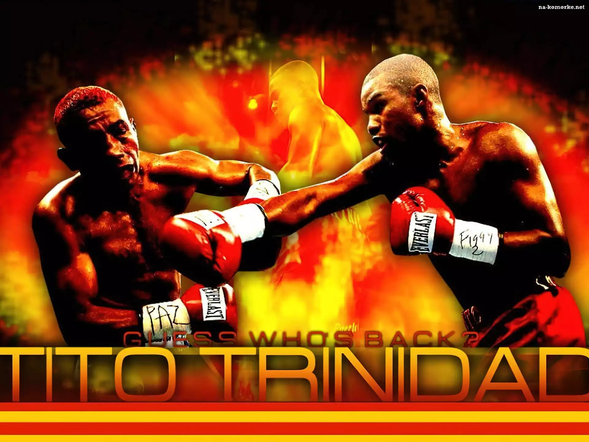 Boks, Tito Trinidad