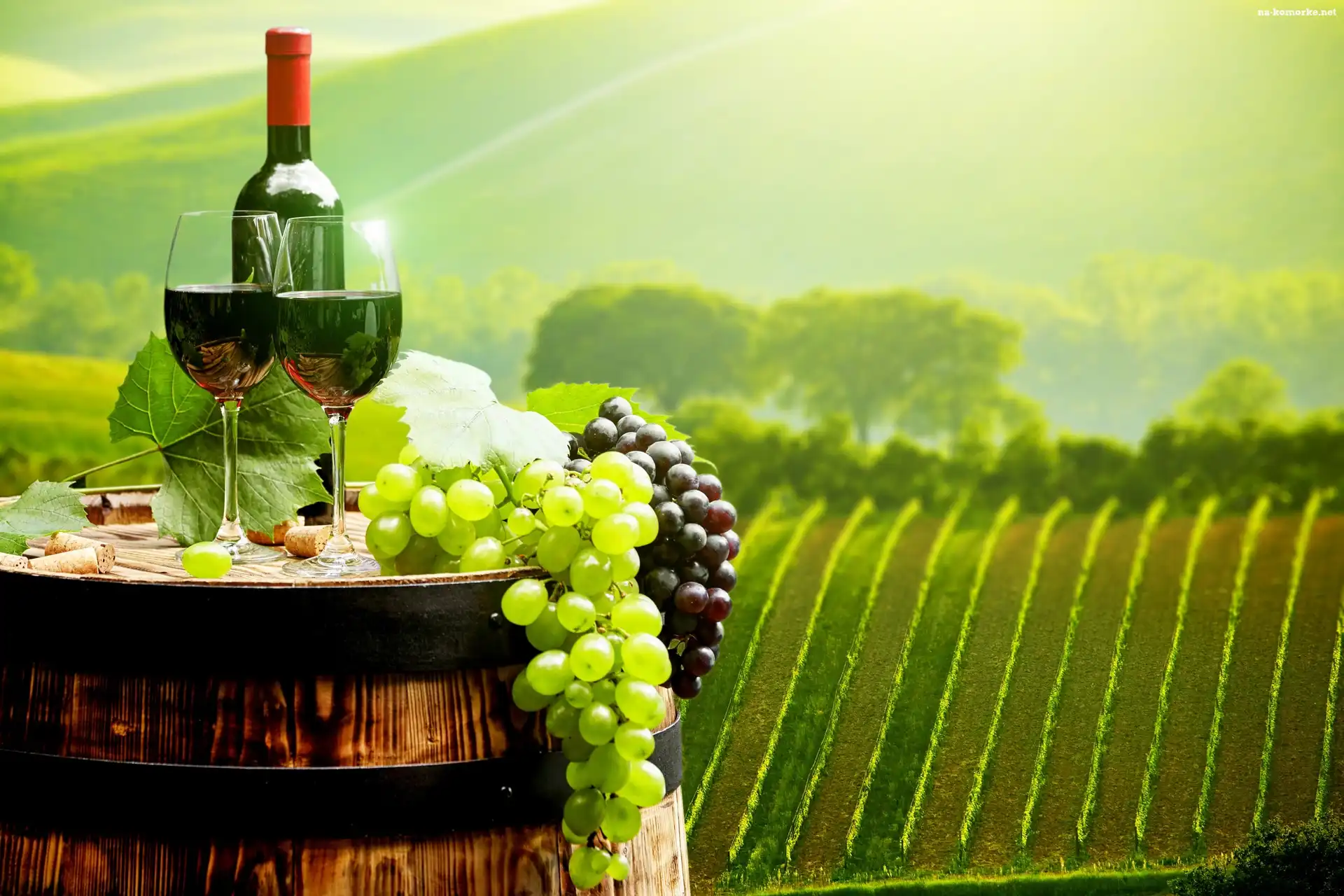 Tło, Wino, Winogrona, Winnica, Rozmyte