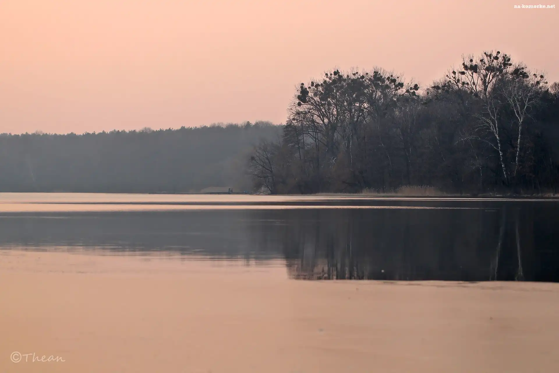 Topniejące, Zmierzch, Jezioro, Drzewa