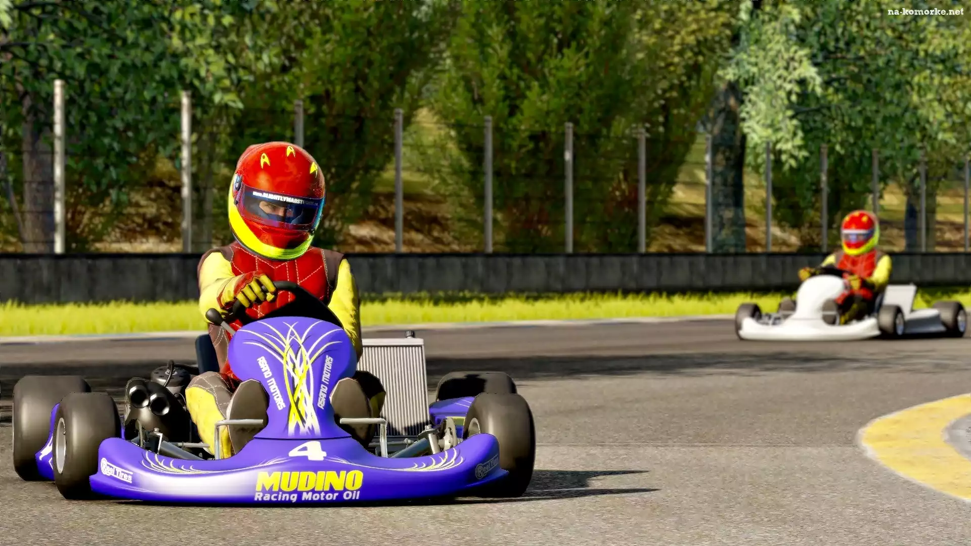 Karting, Tor, Gokarty