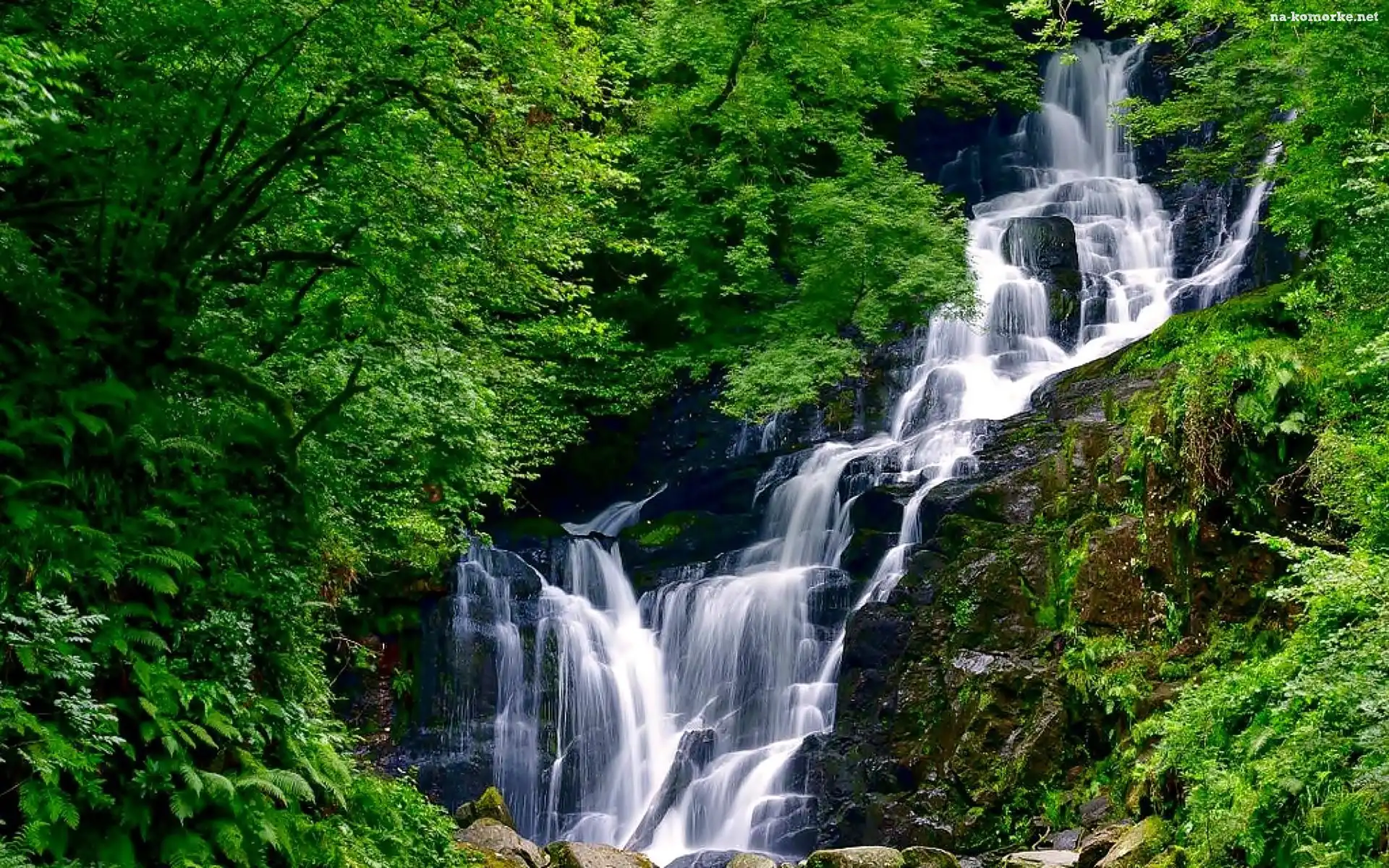 Easach Toirc, Irlandia, Hrabstwo Kerry, Park Narodowy Killarney, Wodospad Torc